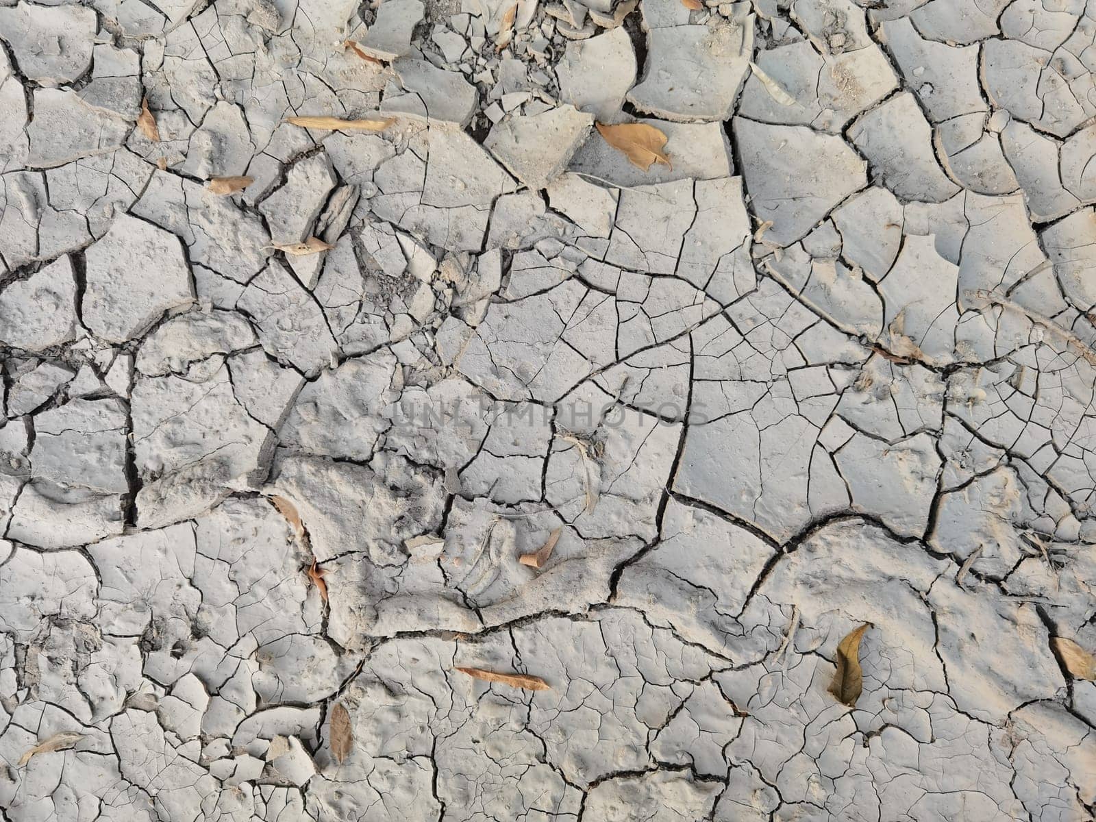 Drought, earth cracks, natural disasters. Dry cracked earth as a background close-up. Environmental disaster. Drought. by sarymsakov