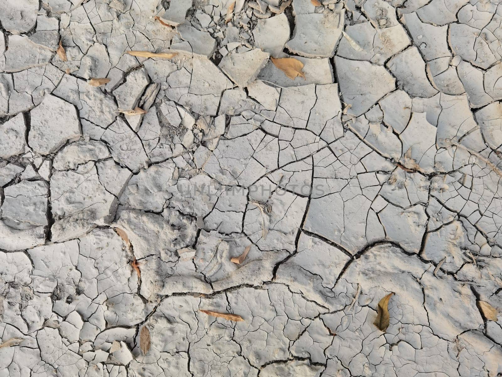 Dry cracked earth as a background close-up. Environmental disaster. Drought. by sarymsakov