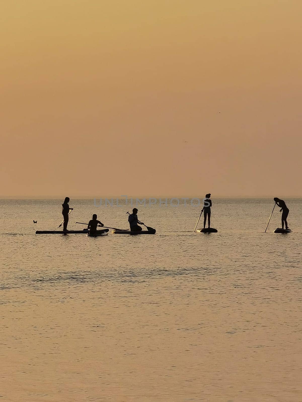Group of people on stand up paddle board at quiet sea on sunset or sunrise. People on sup board and bright sunset by sarymsakov