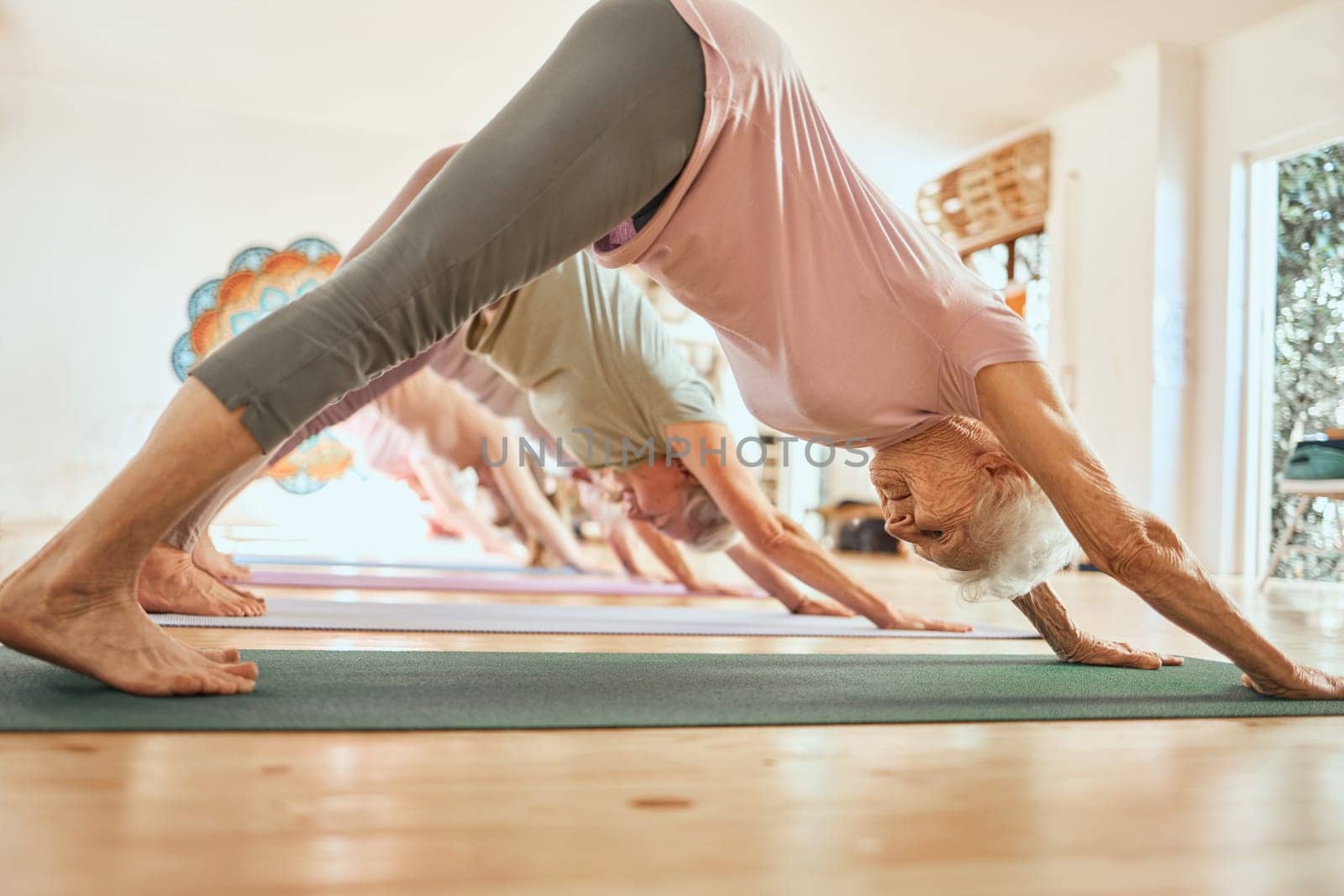 Yoga, exercise and senior woman in studio, class and lesson for wellness, body care and fitness. Sports, balance and elderly female doing downward dog pose for training, pilates and workout in gym by YuriArcurs