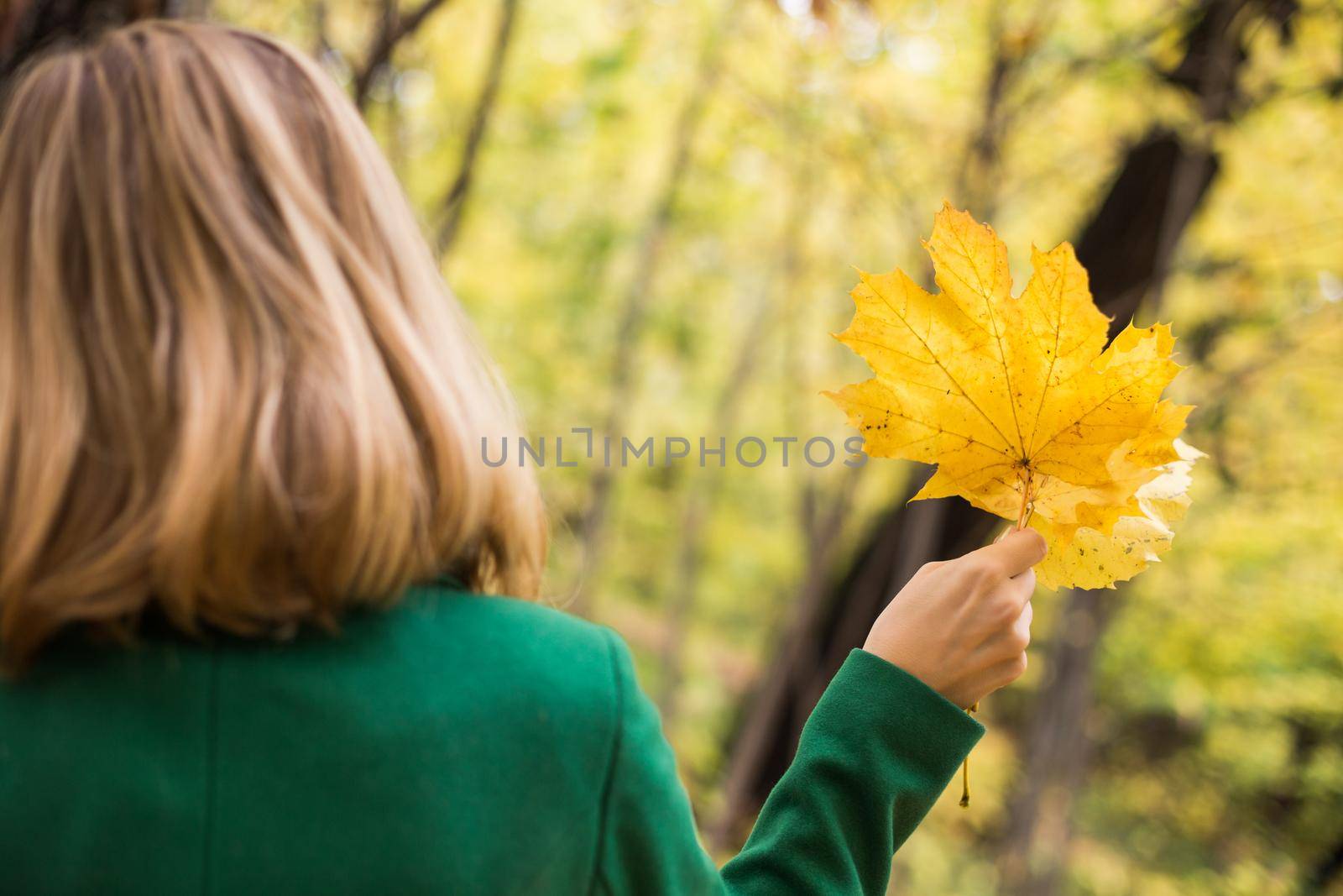 Woman holding fall   leaves  and enjoy in autumn while standing in the park.