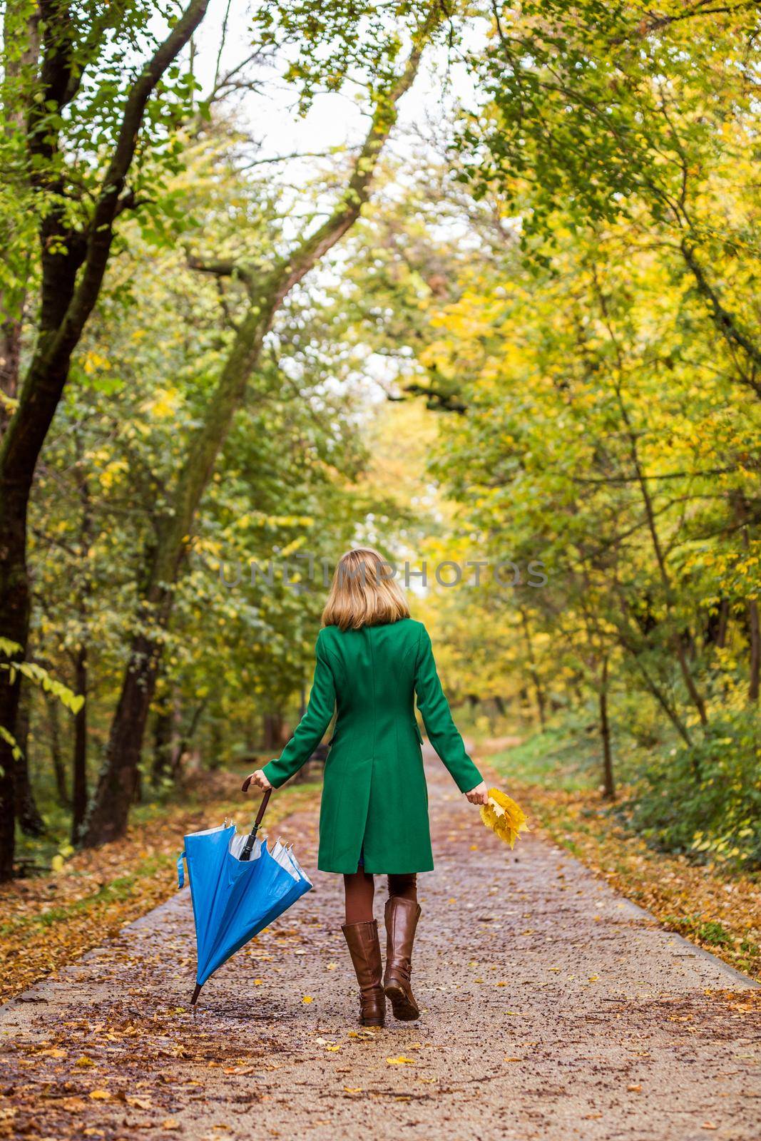 Woman with umbrella and fall leaves  walking in the park by Bazdar