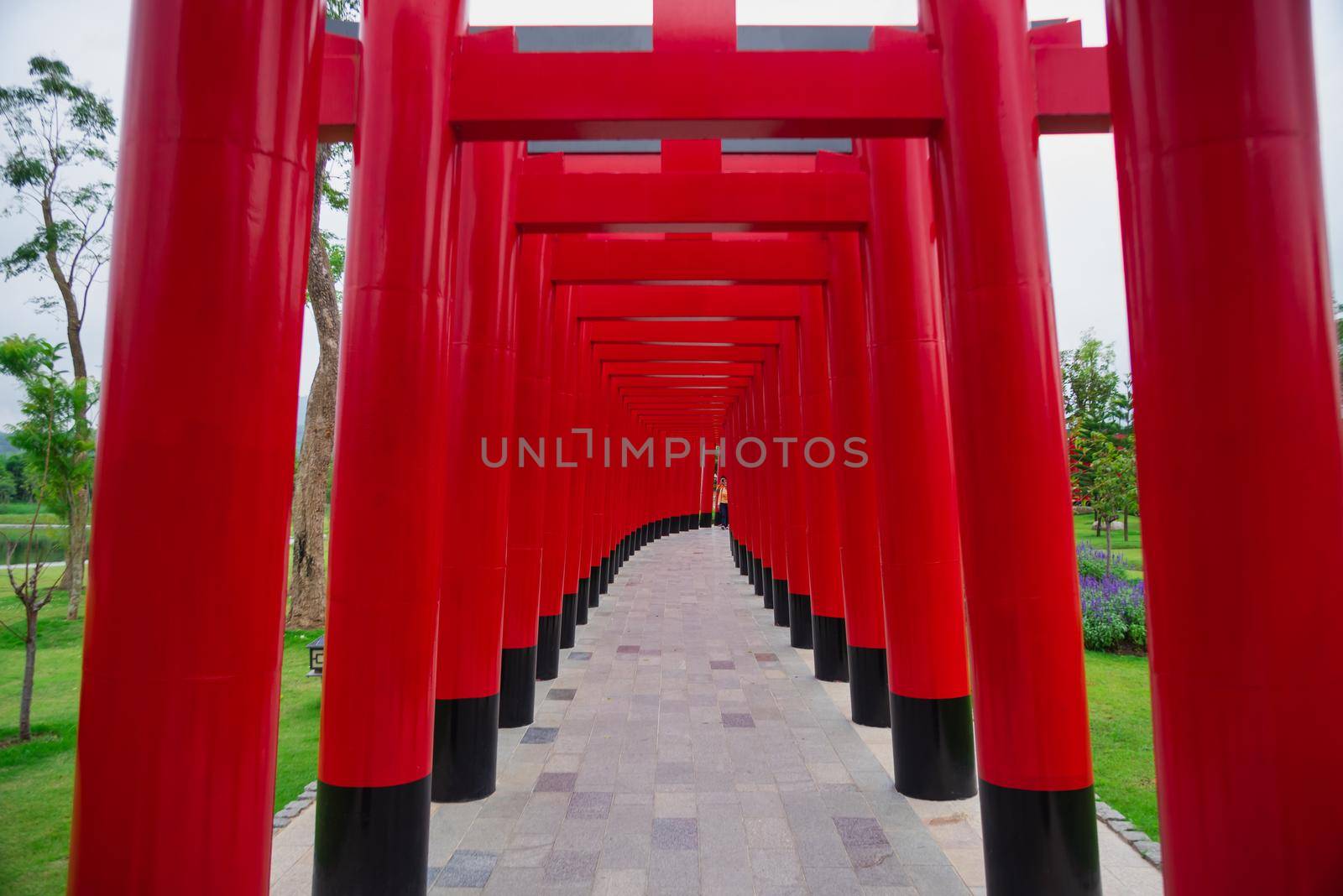 08 November 2019, Hinoki land (Bann Mai Hom Hinoki) constitute Modern of Japan architecture  in Chaiprakarn district Chiang Mai province, Thailand, November 08, 2019 by Wmpix