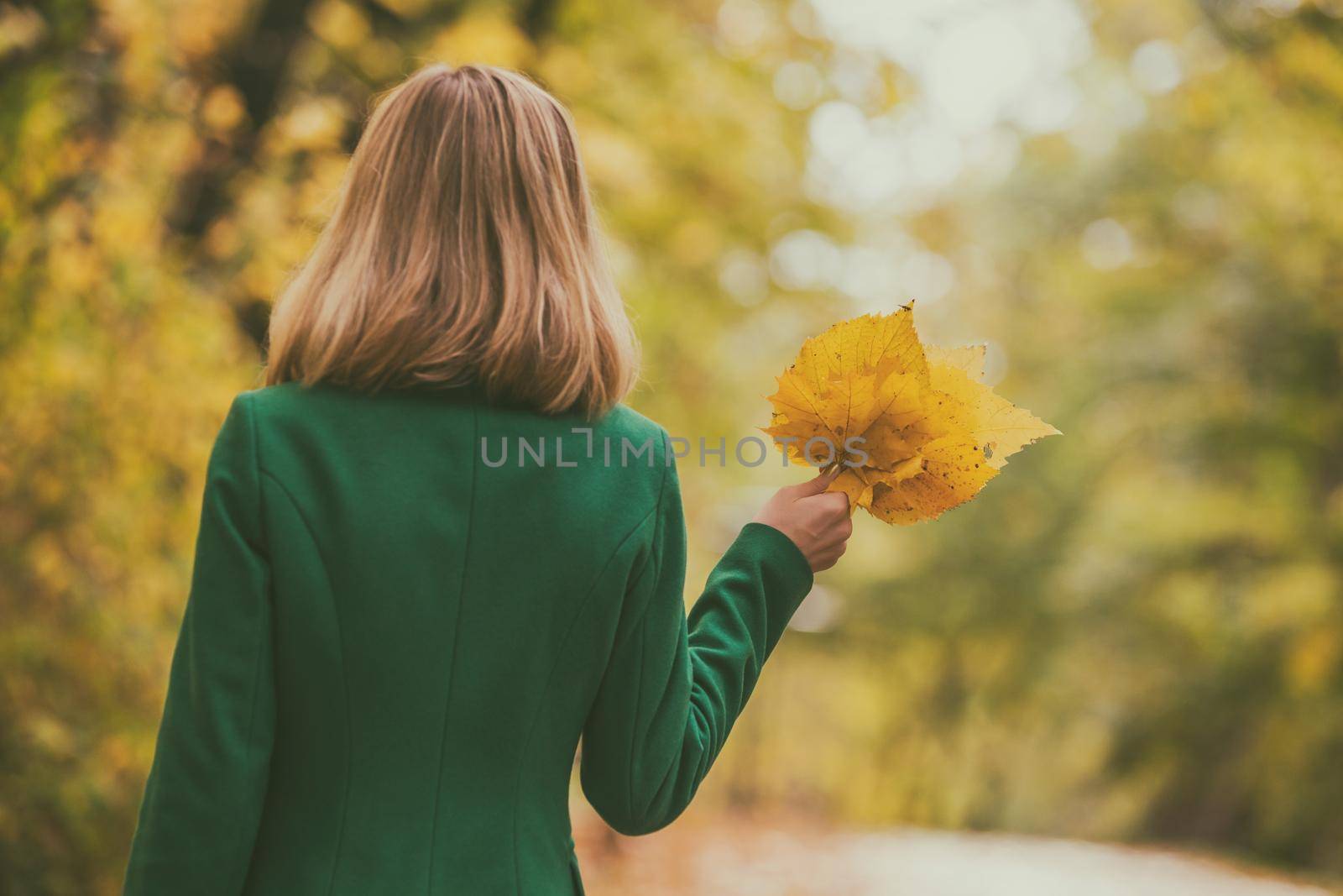 Woman holding fall   leaves  and enjoy in autumn while standing in the park.