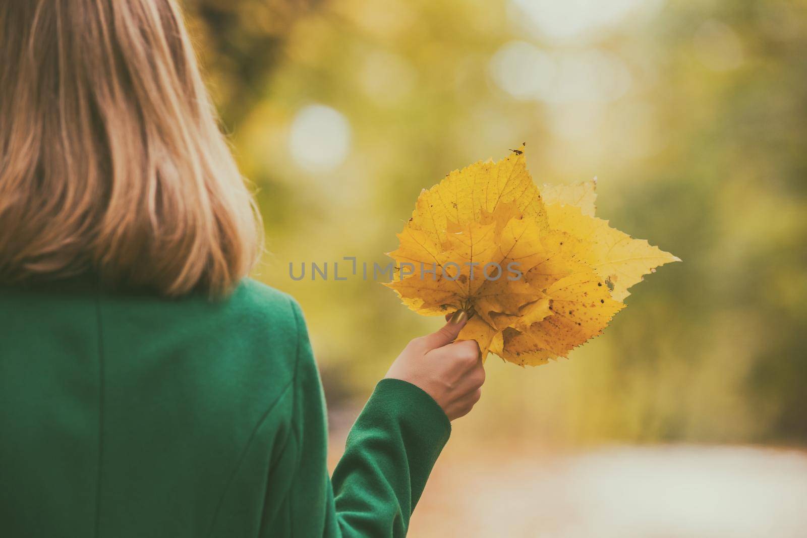 Woman holding fall leaves  and enjoy in autumn by Bazdar