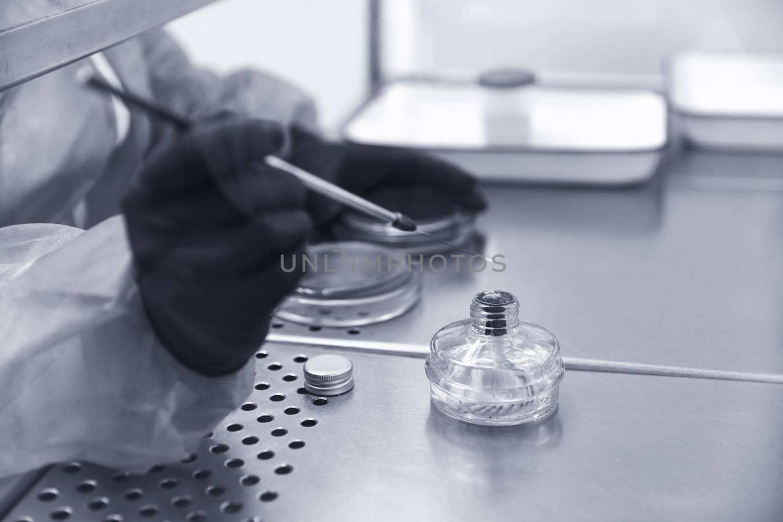 Researcher working with petri dish with bacteria in the bacteriological laboratory. Concept of Pharmaceutical Development for Antibiotics, Curing Disease