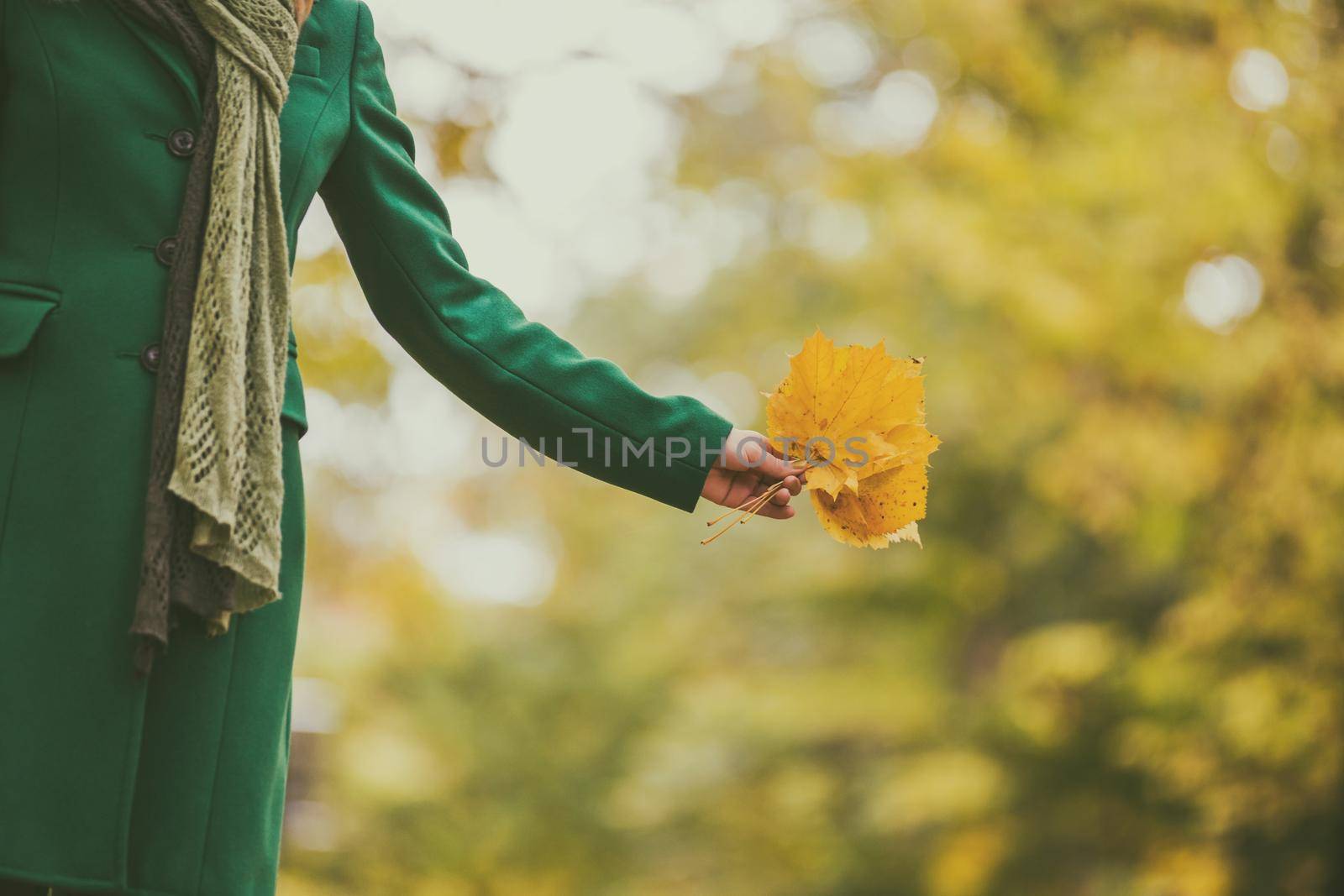 Woman holding fall leaves  and enjoy in autumn by Bazdar