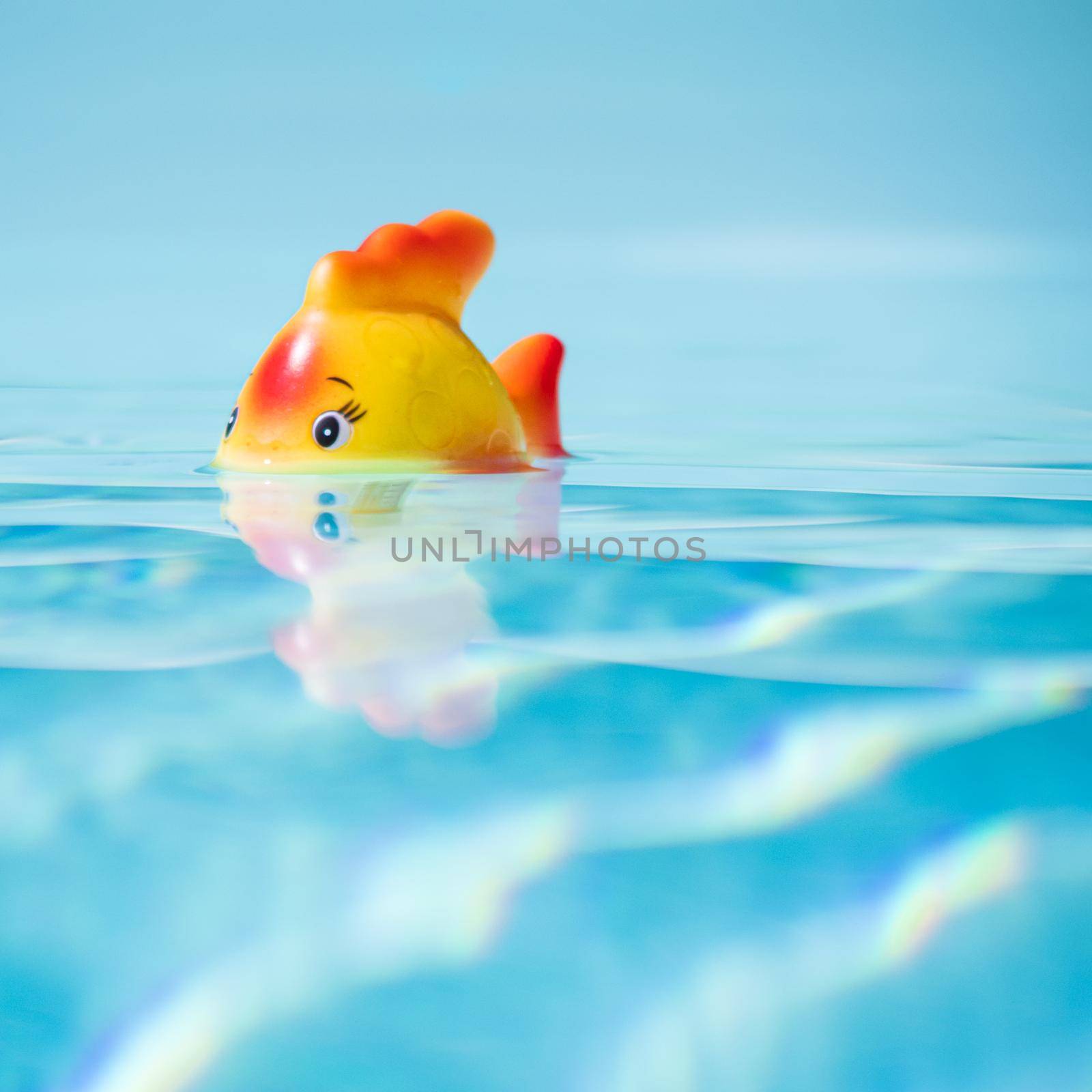 Toy fish taking bath in swimming pool, shallow depth of field