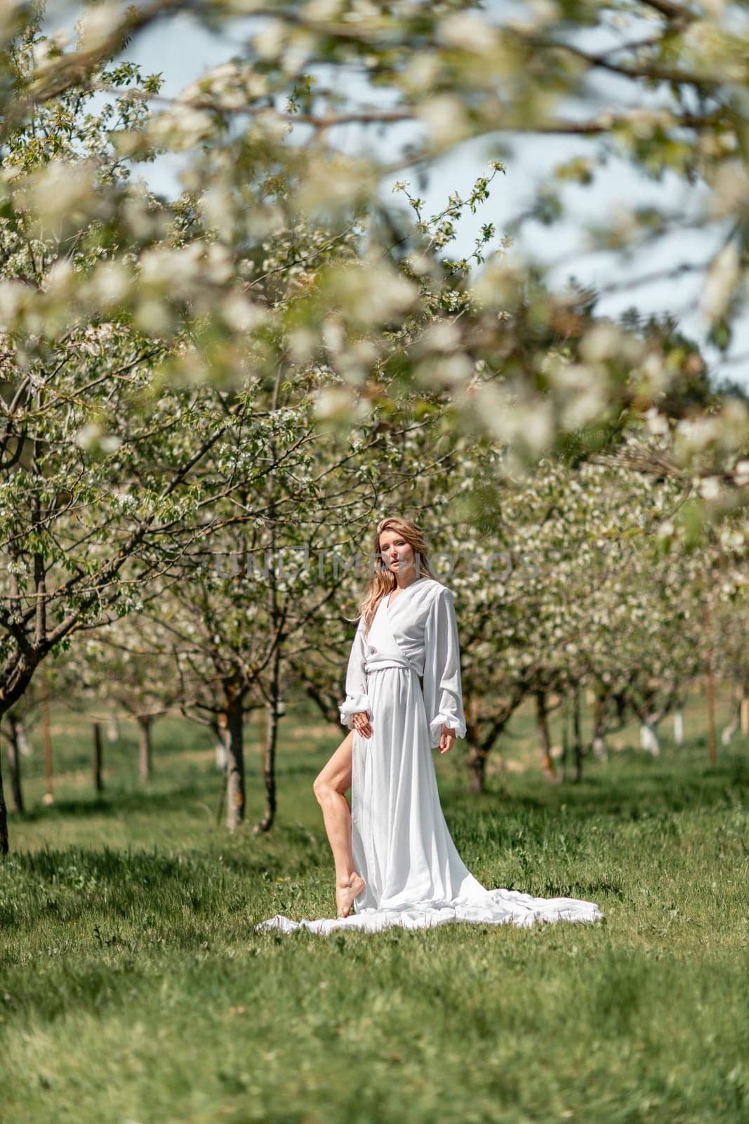 Blond blooming garden. A woman in a white dress walks through a blossoming cherry orchard. Long dress flies to the sides