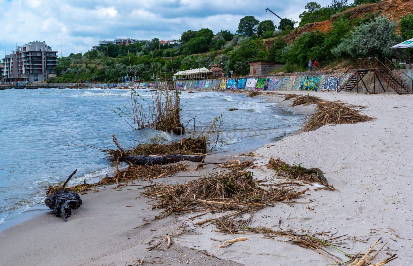 ODESSA, UKRAINE - JUNE 12, 2023: Consequences of the Accident at the Kakhovka power plant, pollution of the beaches of Odessa with garbage and plant remains brought by water