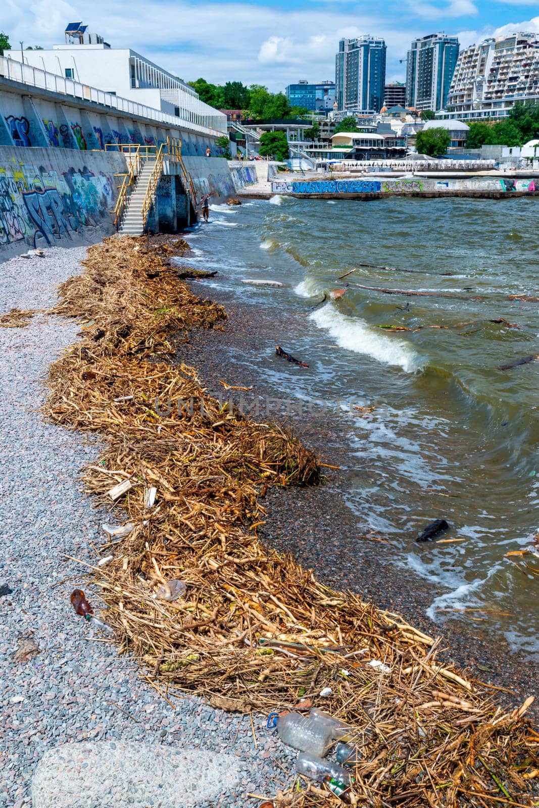 ODESSA, UKRAINE - JUNE 12, 2023: pollution of beaches with garbage and plant remains after the accident at the Kakhovka Hydroelectric Power Plant