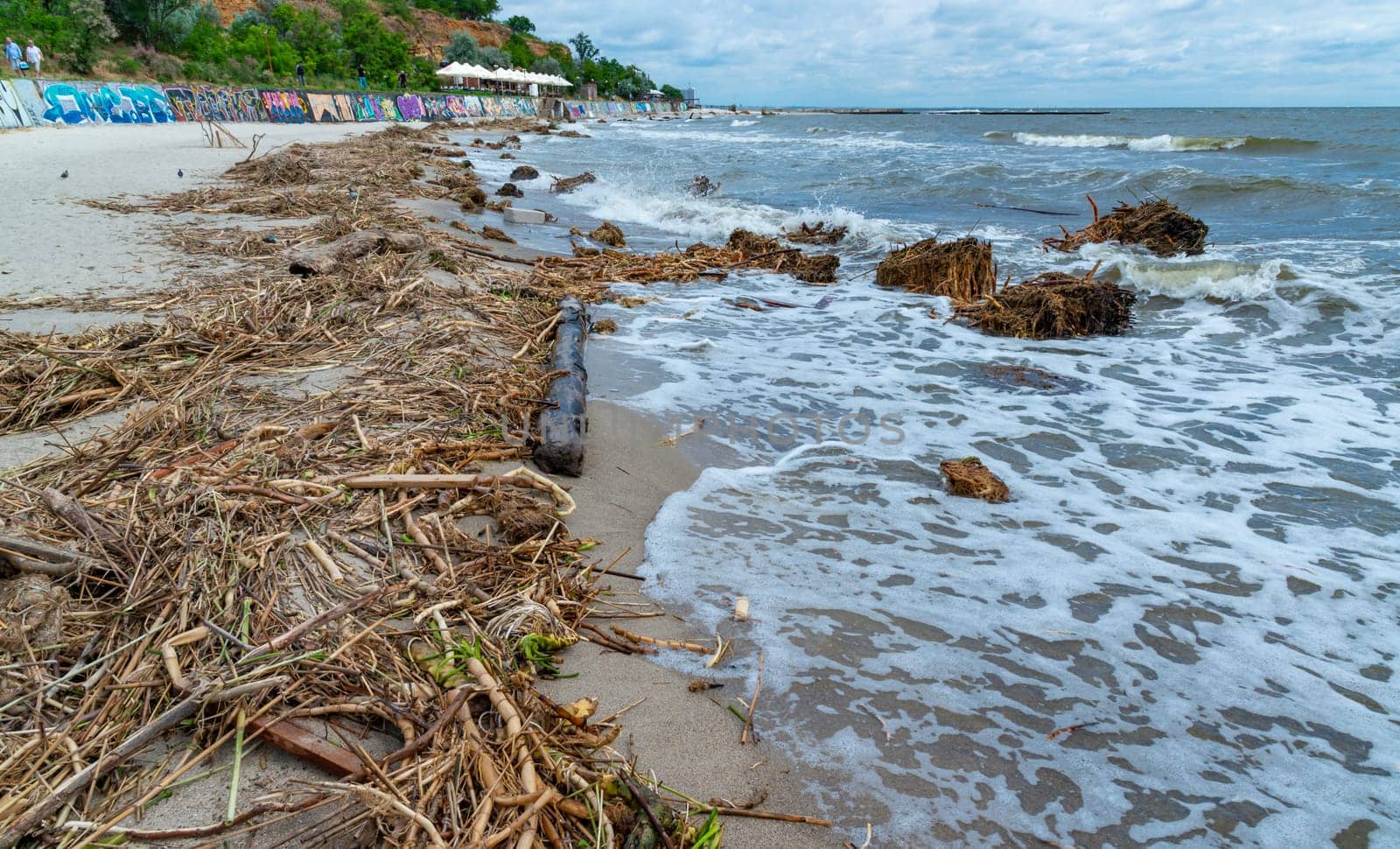 Accident at the Kakhovskaya hydroelectric power station, pollution of beaches with plastic debris and the remains of river plants brought by water by Hydrobiolog