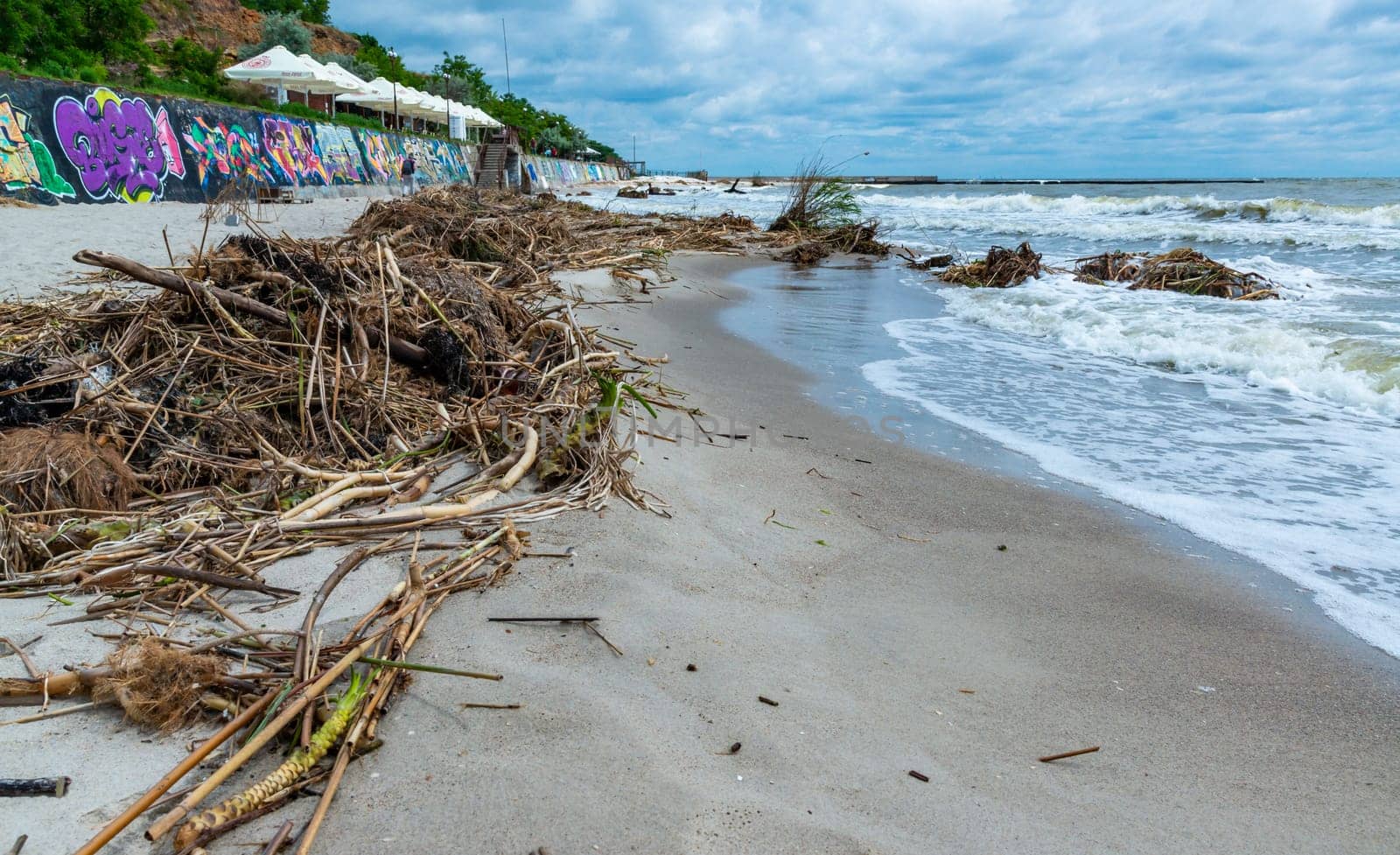 Consequences of the Accident at the Kakhovka power plant, pollution of the beaches of Odessa with garbage and plant remains brought by water