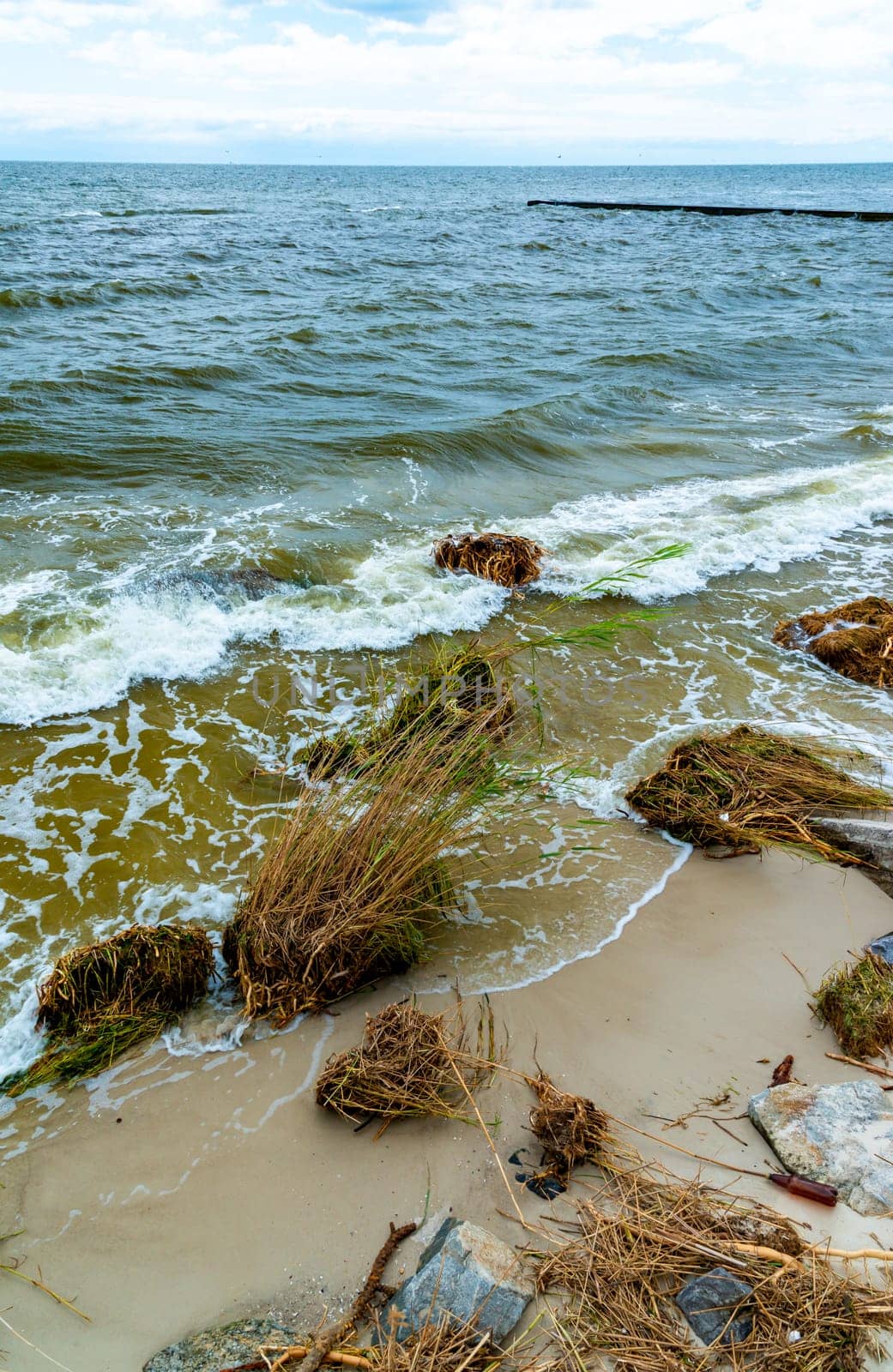 Consequences of the Accident at the Kakhovka power plant, pollution of the beaches of Odessa with garbage and plant remains brought by water by Hydrobiolog