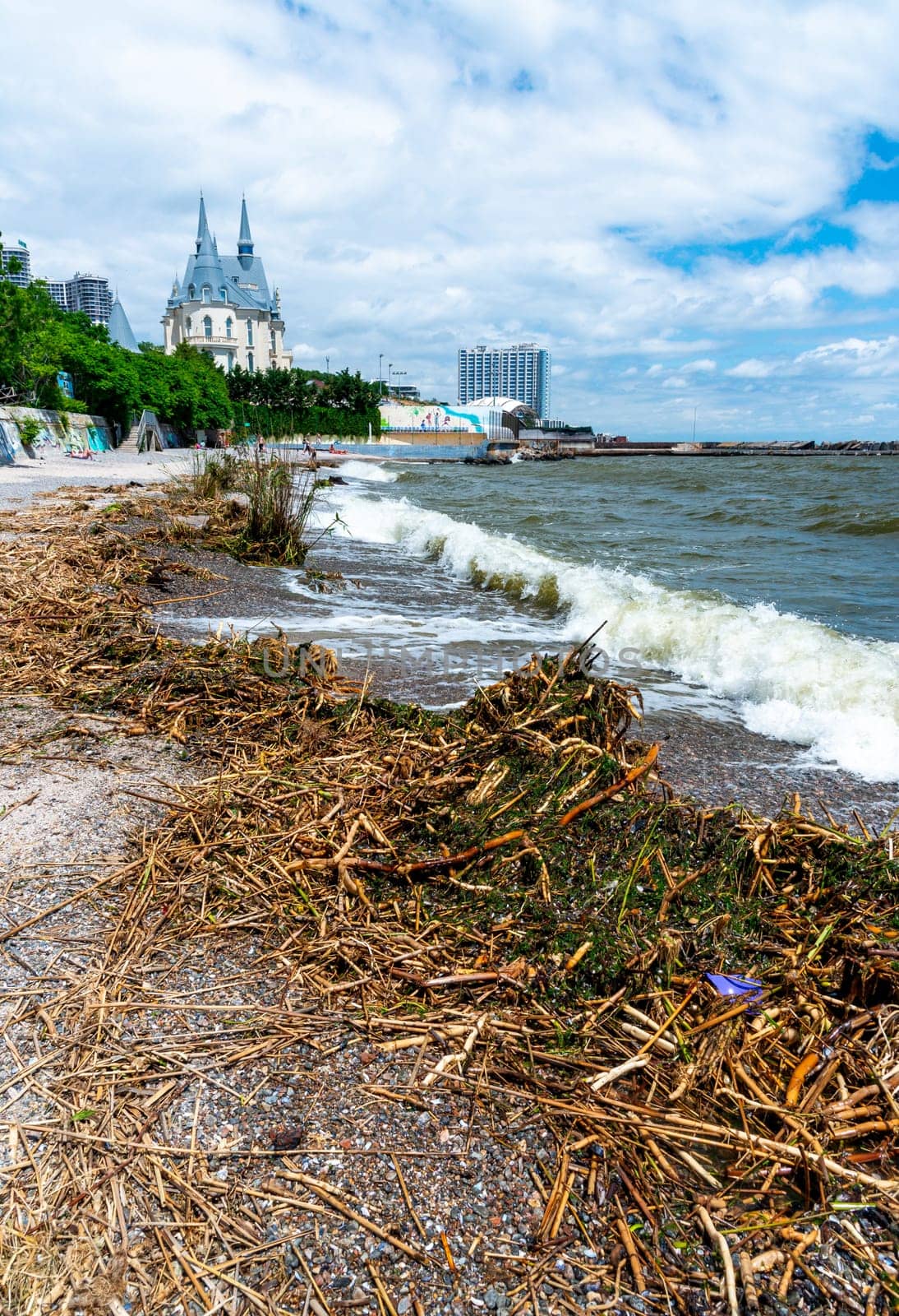 Consequences of the Accident at the Kakhovka power plant, pollution of the beaches of Odessa with garbage and plant remains brought by water by Hydrobiolog
