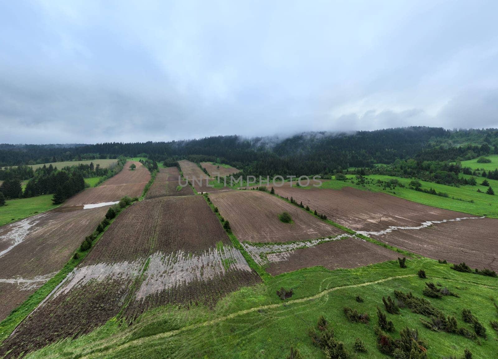 Aerial drone view agricultural land is take place of a healthy forest, Concept of deforestation, agriculture, global warming and the environment. by dotshock