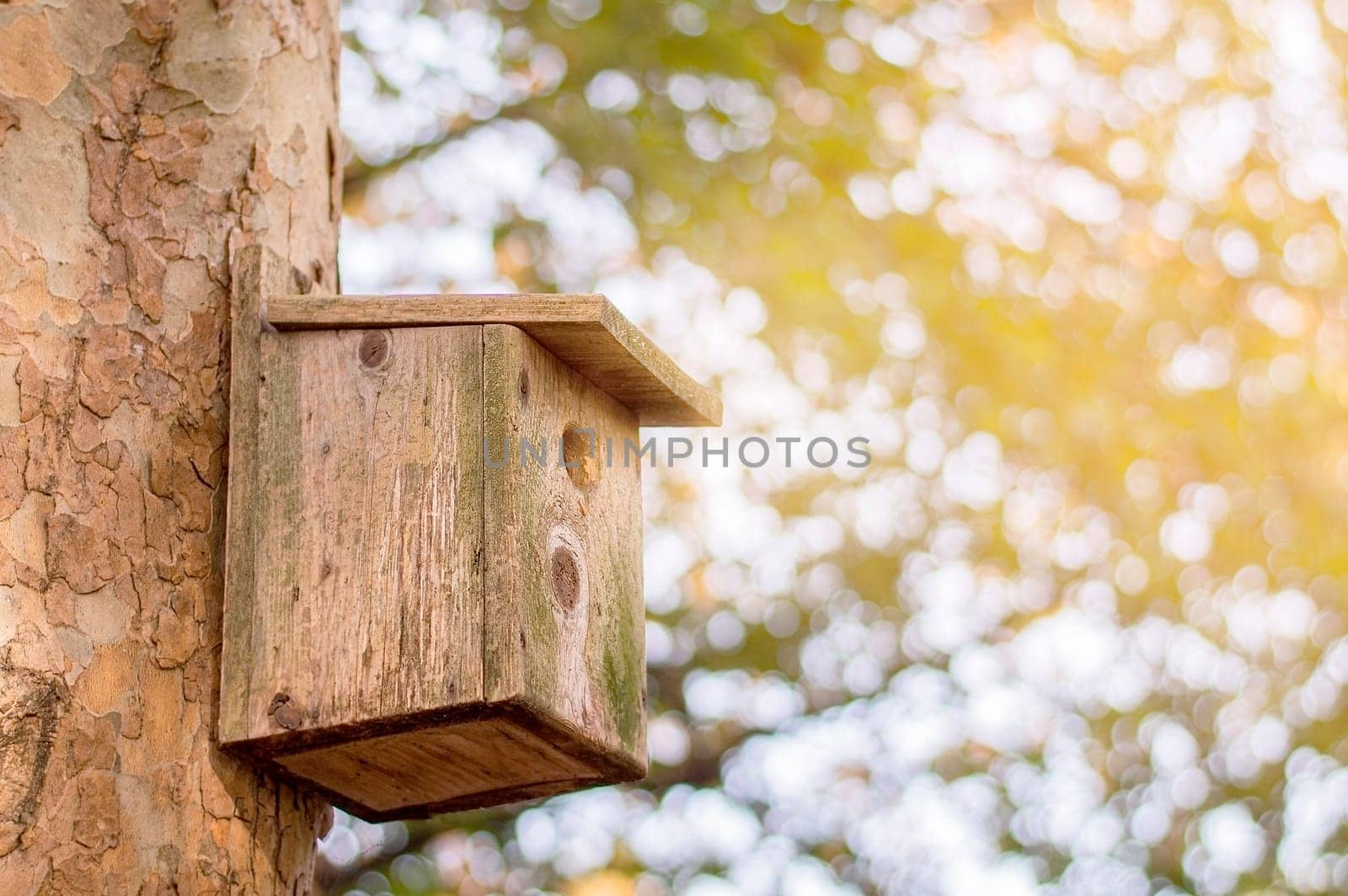 Wooden brown birdhouse on a trunk of a tree in the park. A house for the birds. Bird feeder. Copy space