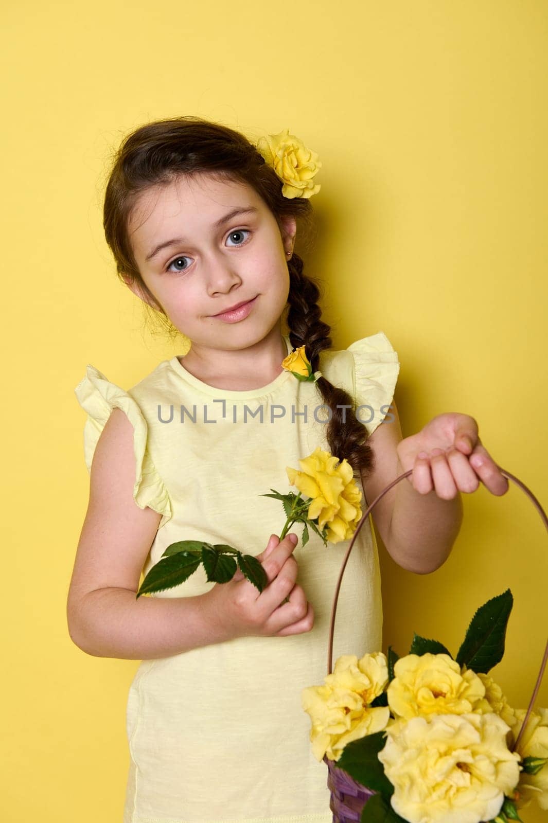 Beautiful little child girl holds wicker basket with yellow rose flowers, smiles looking at camera, isolated on yellow by artgf