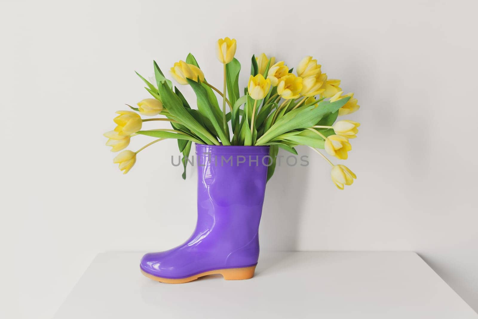 The yellow tulips in the violet rubber boots