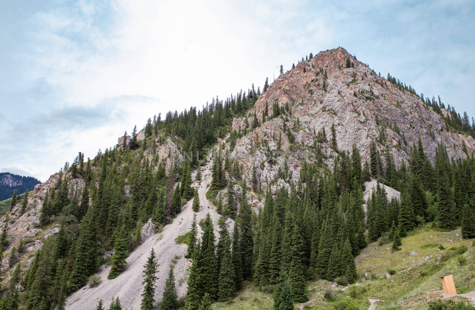 rocky peak of the mountain with green fir trees in summer by Pukhovskiy