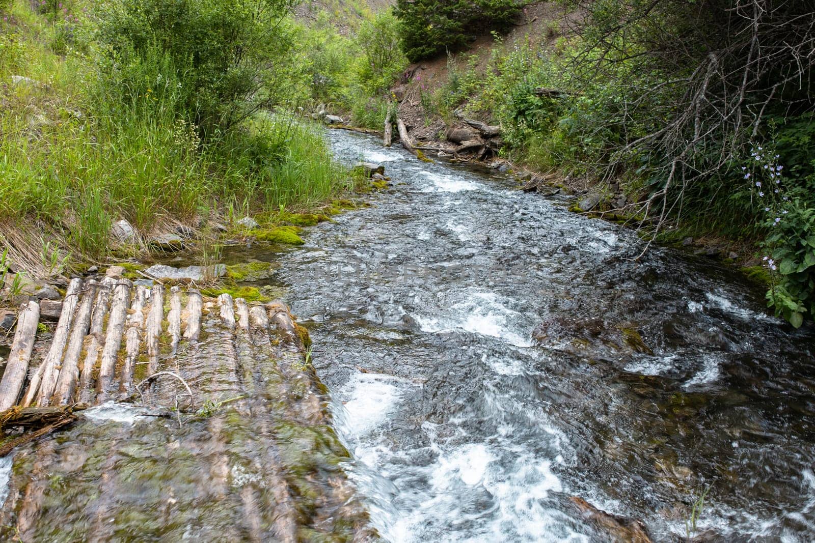 cold mountain river in the forest area in the mountains.