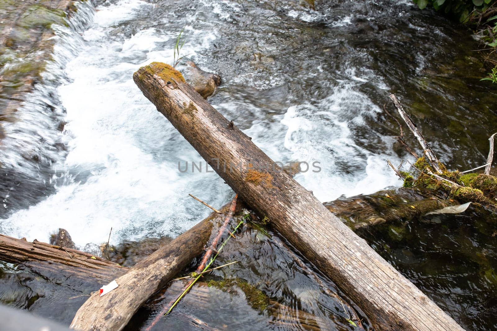 an old wet log sticks out of a stormy mountain river.