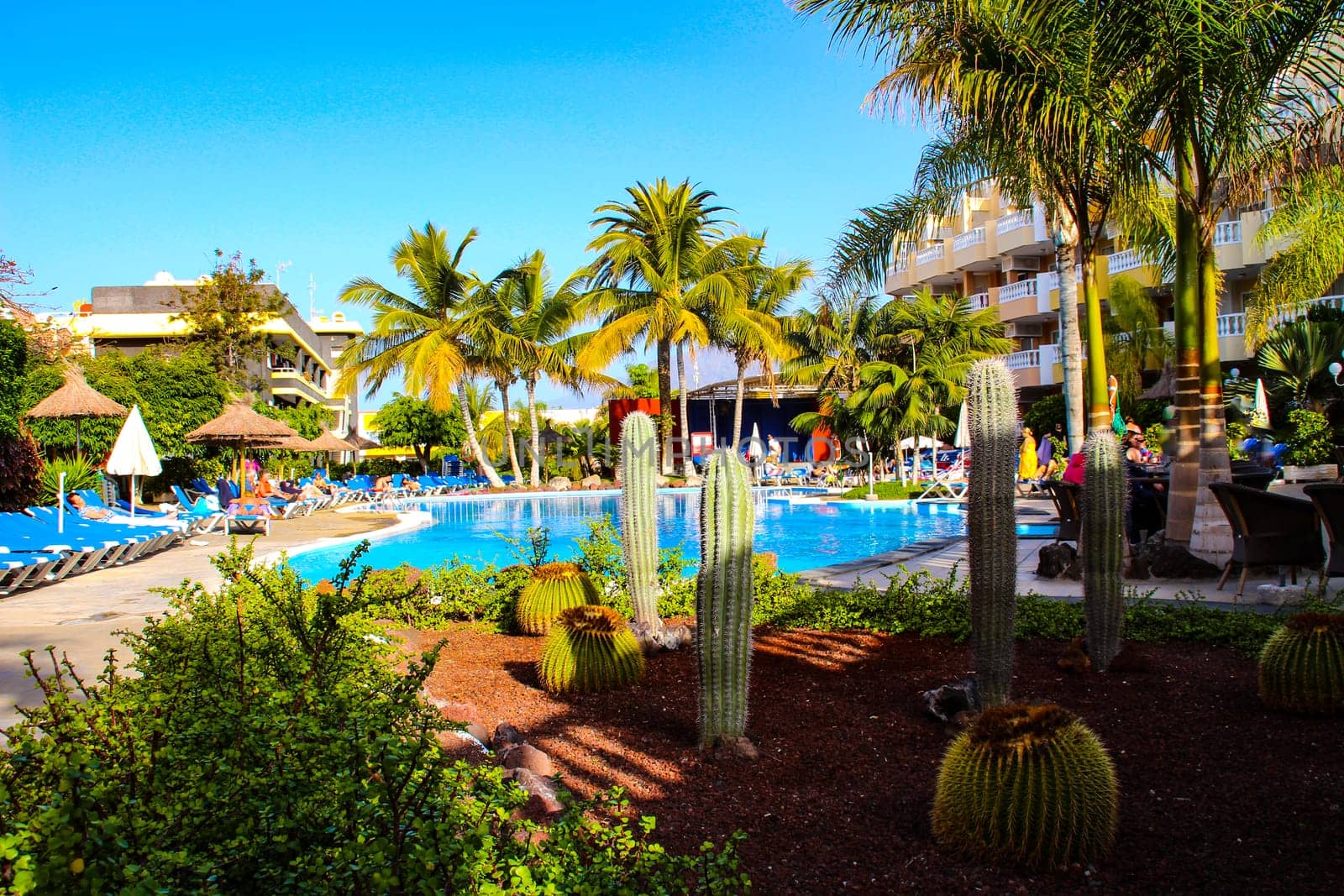 Swimming pool, open-air restaurant and exotic trees of luxury hotel, Tenerife island, Spain. High quality photo