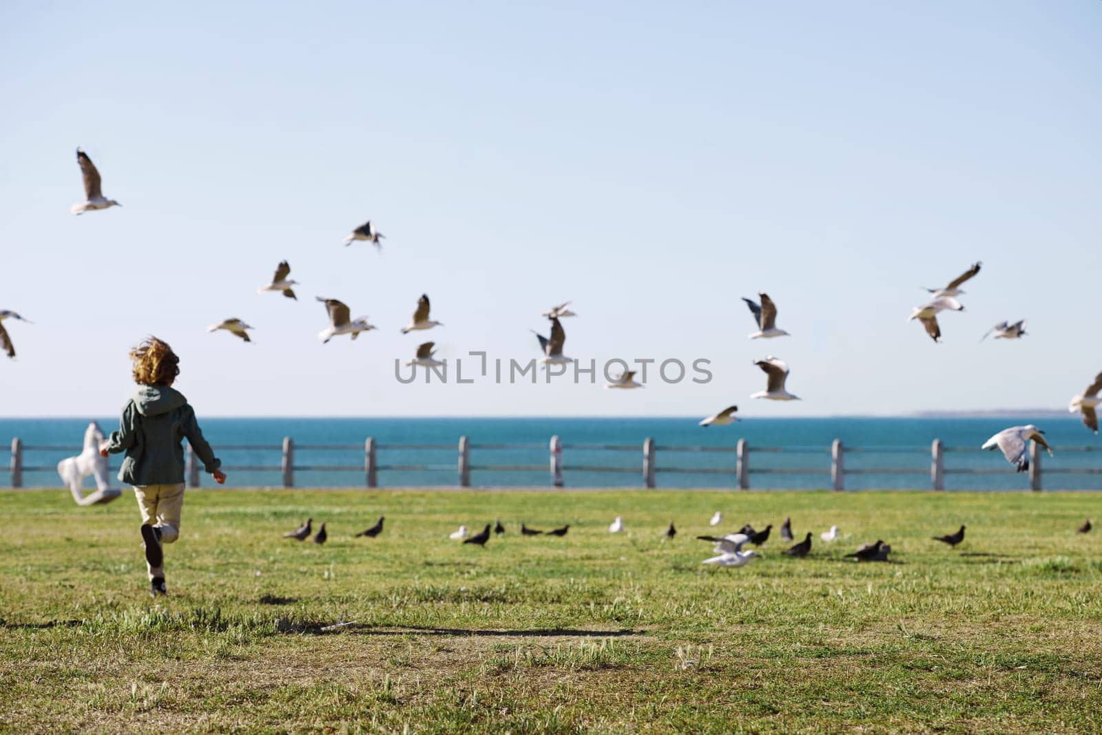 Playful, back and boy running after birds in a park for freedom, summer and happy in Australia. Holiday, youth and excited child playing on a field by the sea during a vacation with animals in nature by YuriArcurs