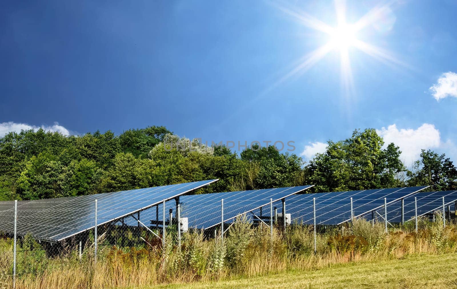 Generating clean energy with solar modules in a big park in northern Europe by MP_foto71
