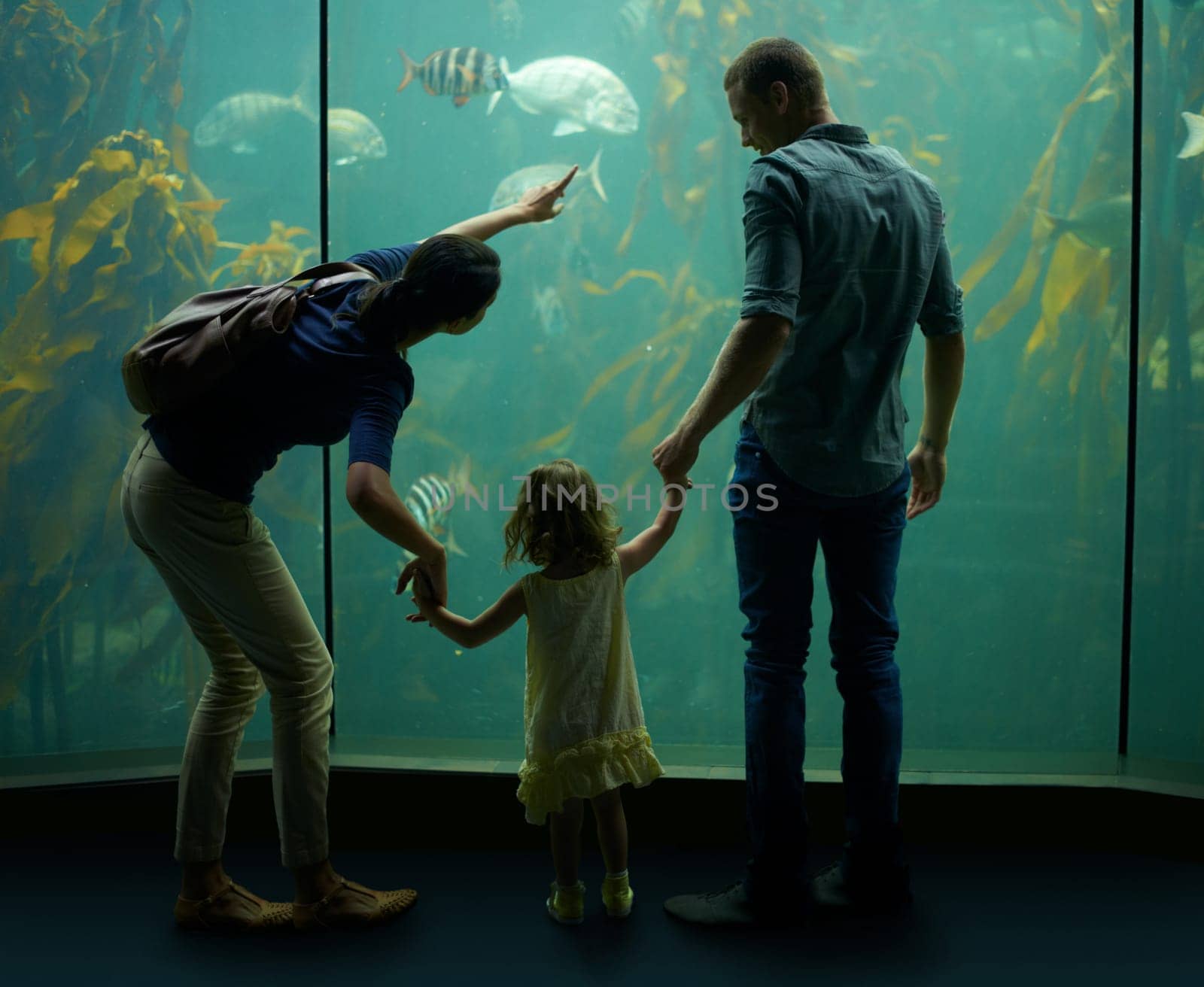 Family, aquarium and holding hands while pointing at fish for learning, curiosity or knowledge, bonding or care. Father, fishtank and girl with mother watching marine animals underwater in back view