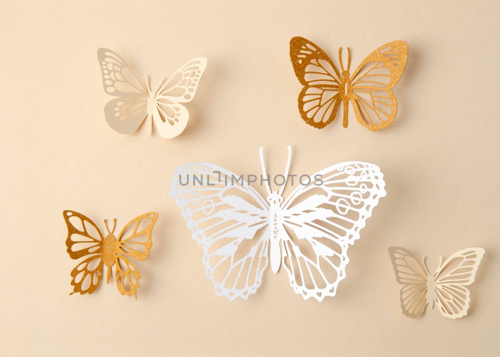 The Paper butterfly carve on a yellow background. by Gamjai
