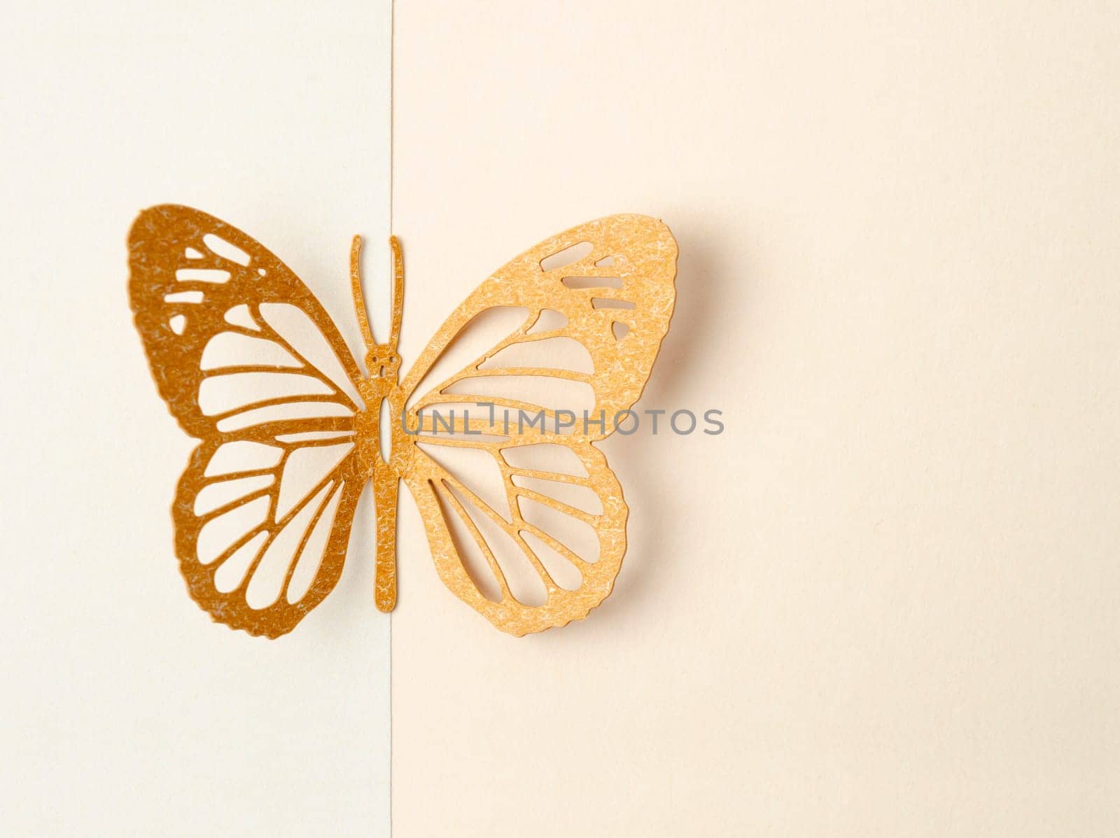 A Butterfly made from carve paper or cutting on yellow background with empty space for your text or message. by Gamjai
