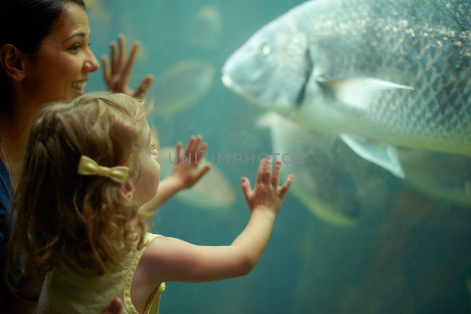 Mother, aquarium and child looking at fish for learning, curiosity and knowledge, education and bonding. Mom, fishtank and happy girl watching marine life or animals swim underwater in oceanarium