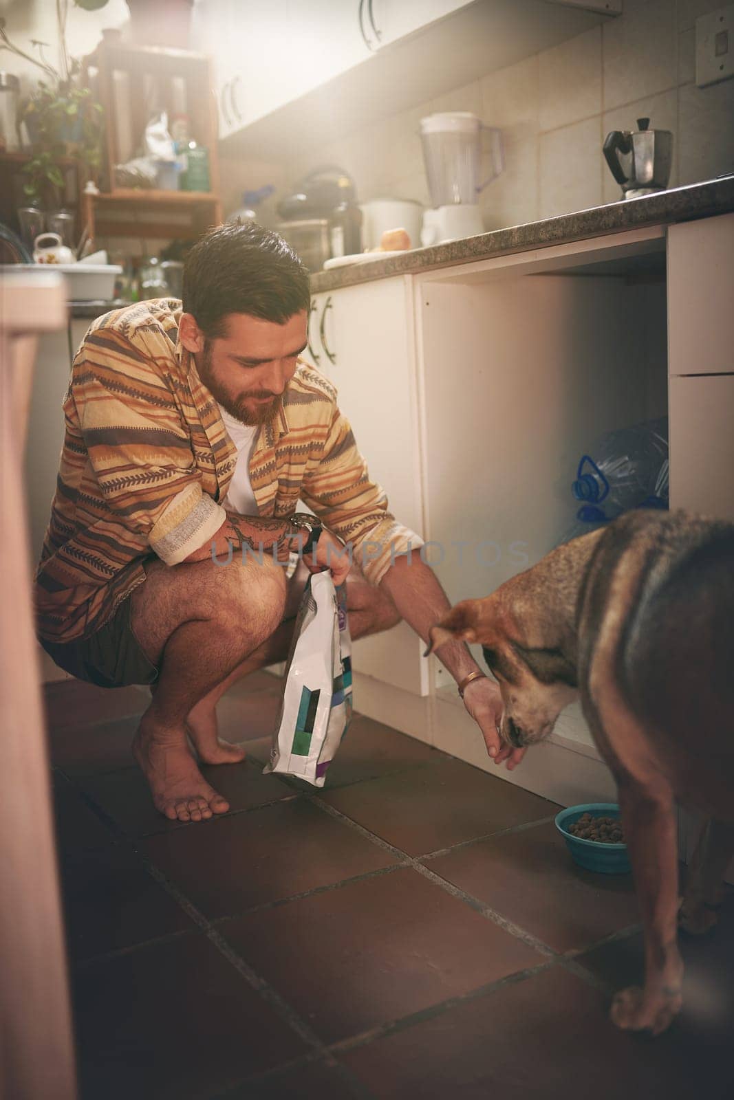 You deserved it. a cheerful young man calling his dog to eat his food inside of the kitchen during the da