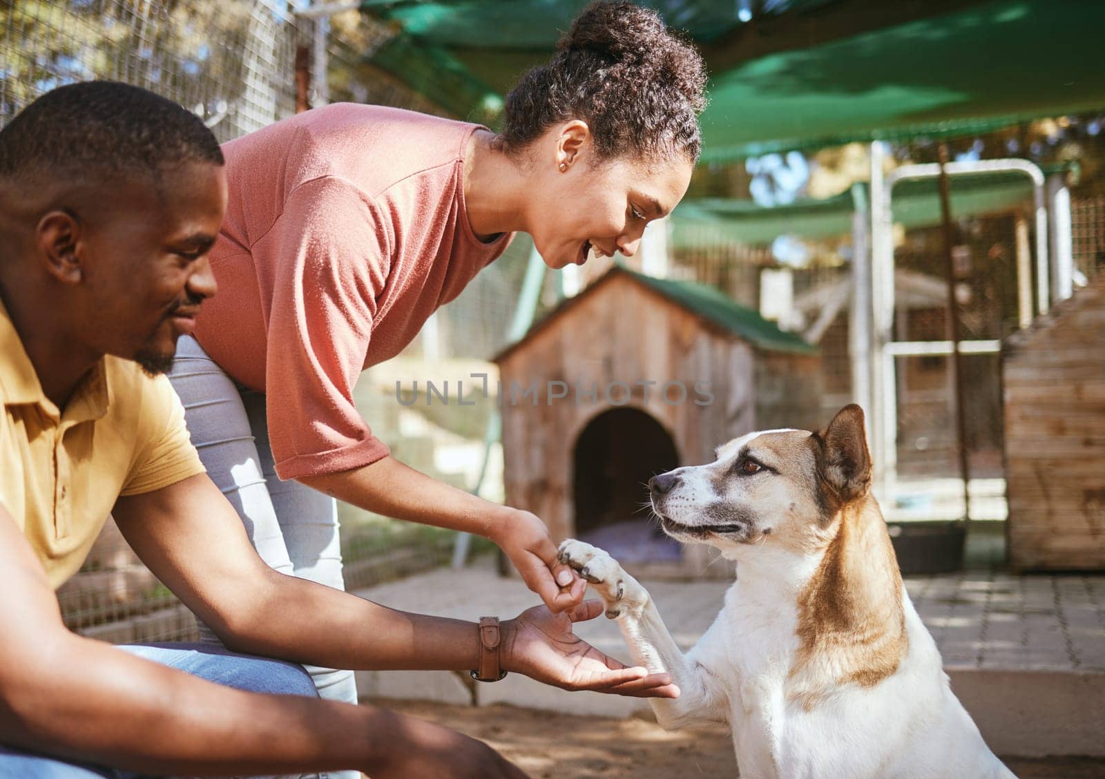 Black couple, love or petting dog in animal shelter, foster kennel or adoption center. Smile, happy or love man and woman bonding and touching pet canine for foster care or community volunteer work by YuriArcurs
