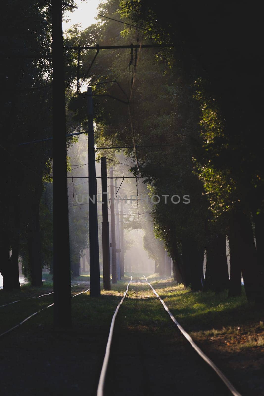 Railroad with sunbeams and fog at sunset. Industrial landscape with railway by igor010