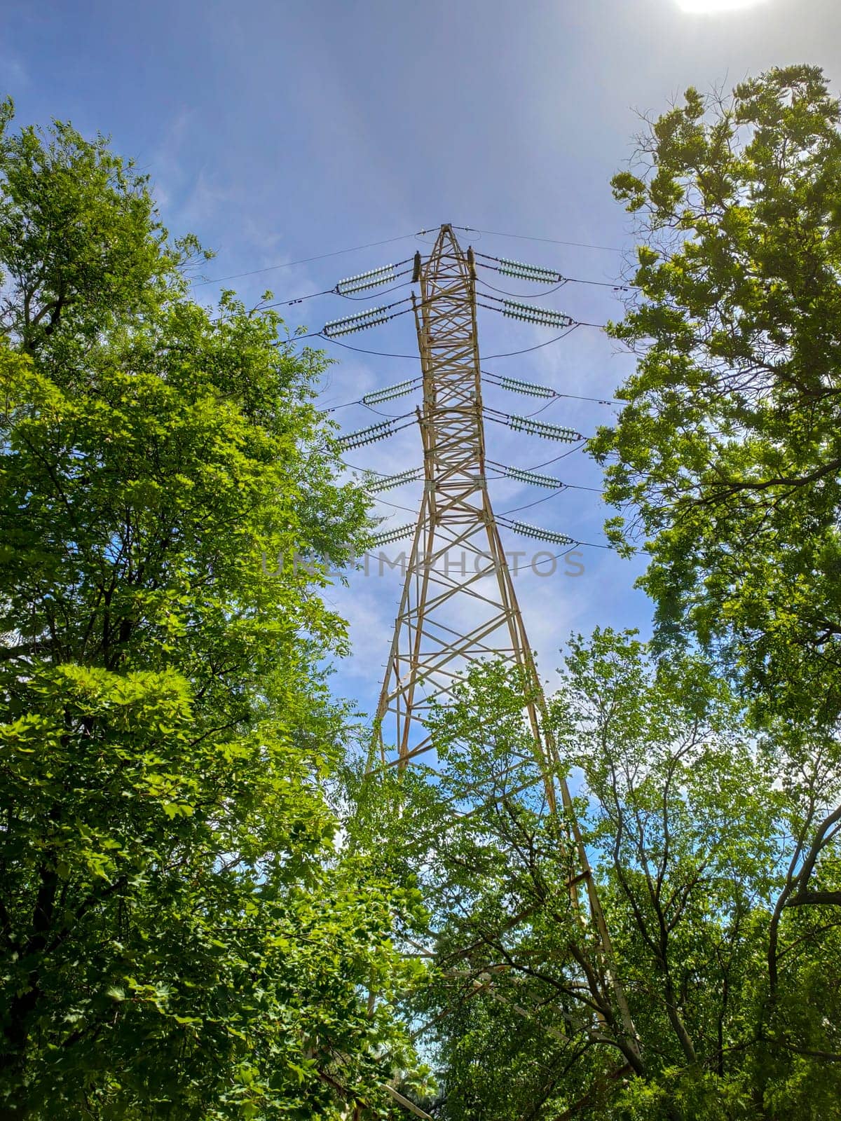 high voltage post around green trees on sunset. landscape. green energy concept by igor010