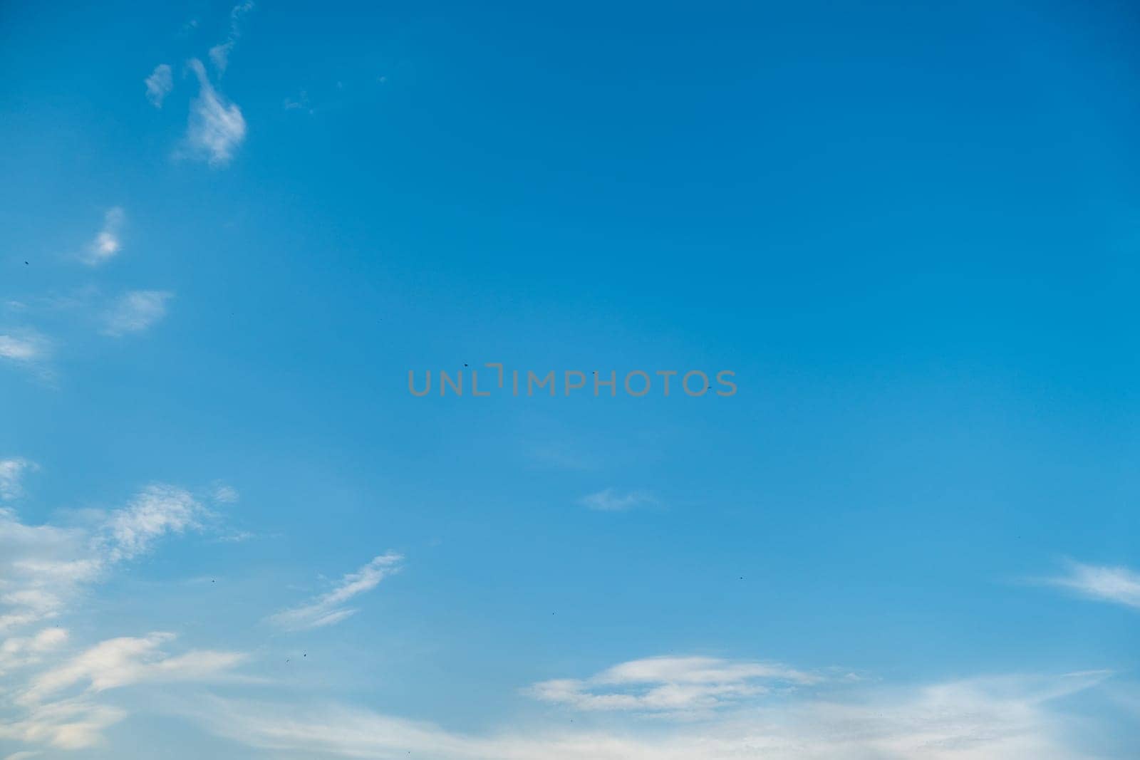 White clouds, clear soft sky, cloudscape . Sky in beautiful summer sunny day, with birds, colorful weather. time lapse sky