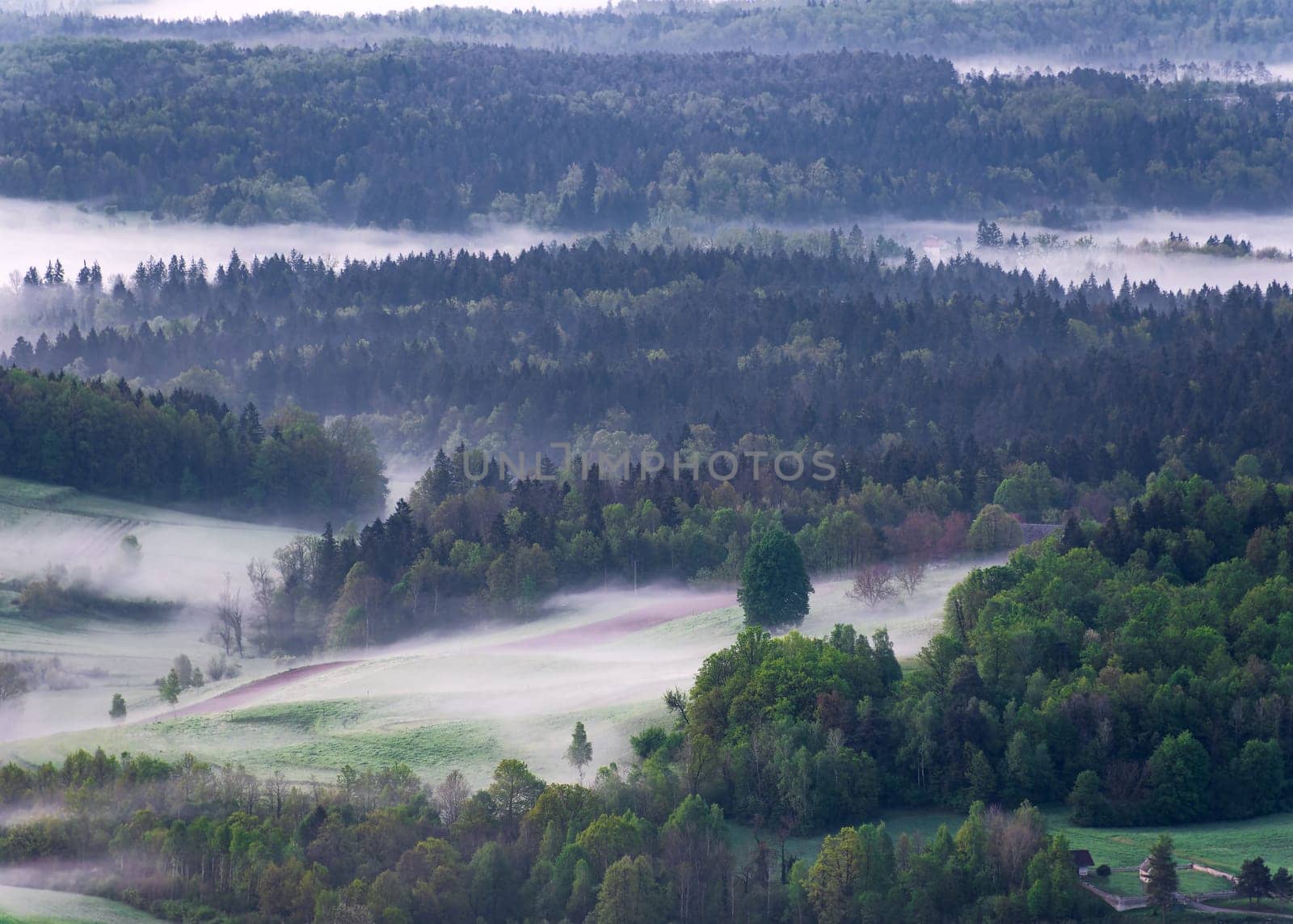 Spring morning fog over the valley, clouds and fog scenery