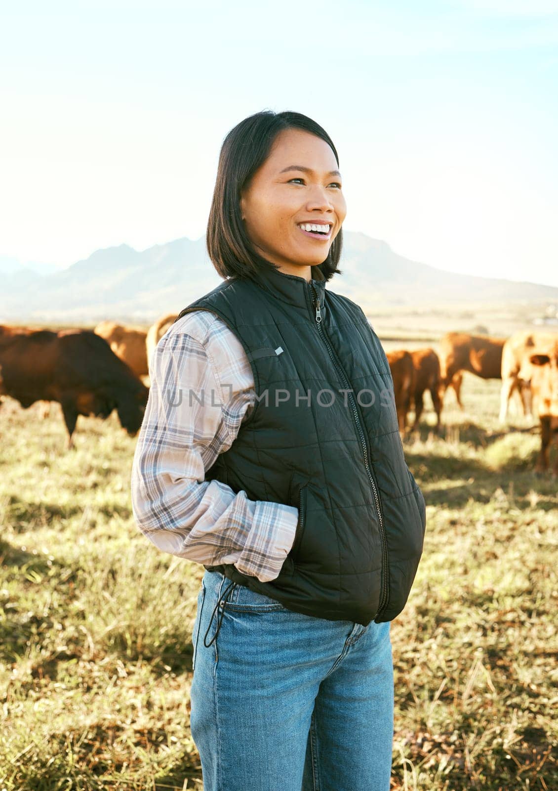 Cow, farmer and asian woman on grass field in nature for meat, beef or cattle food industry. Happy, smile and farming success for cows, livestock and agriculture animals, milk production and growth.
