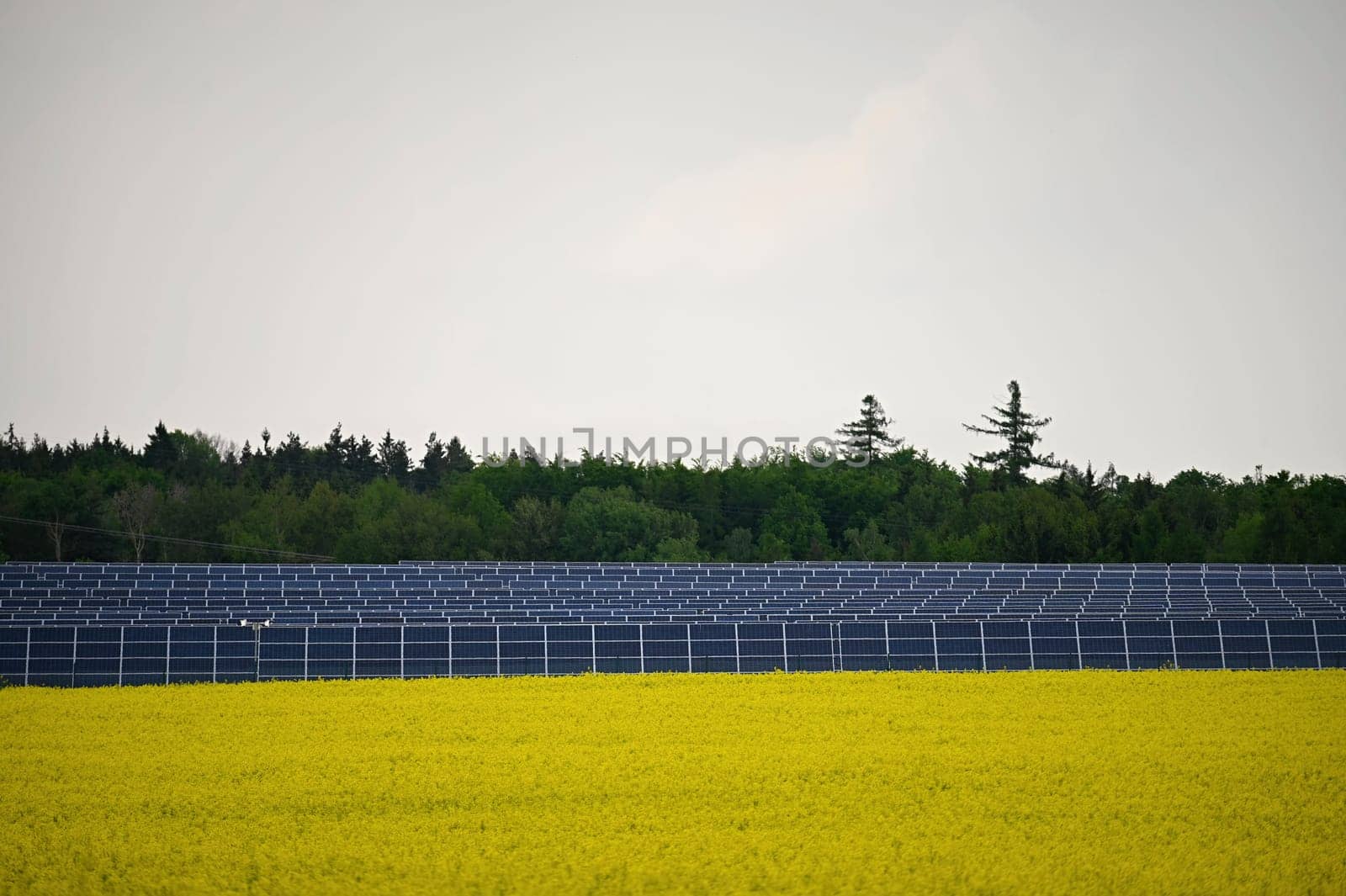 Solar power plant - concept for electricity and ecological industry. High energy prices. Beautiful landscape and sunny day with blue sky. Photovoltaic power plant. by Montypeter