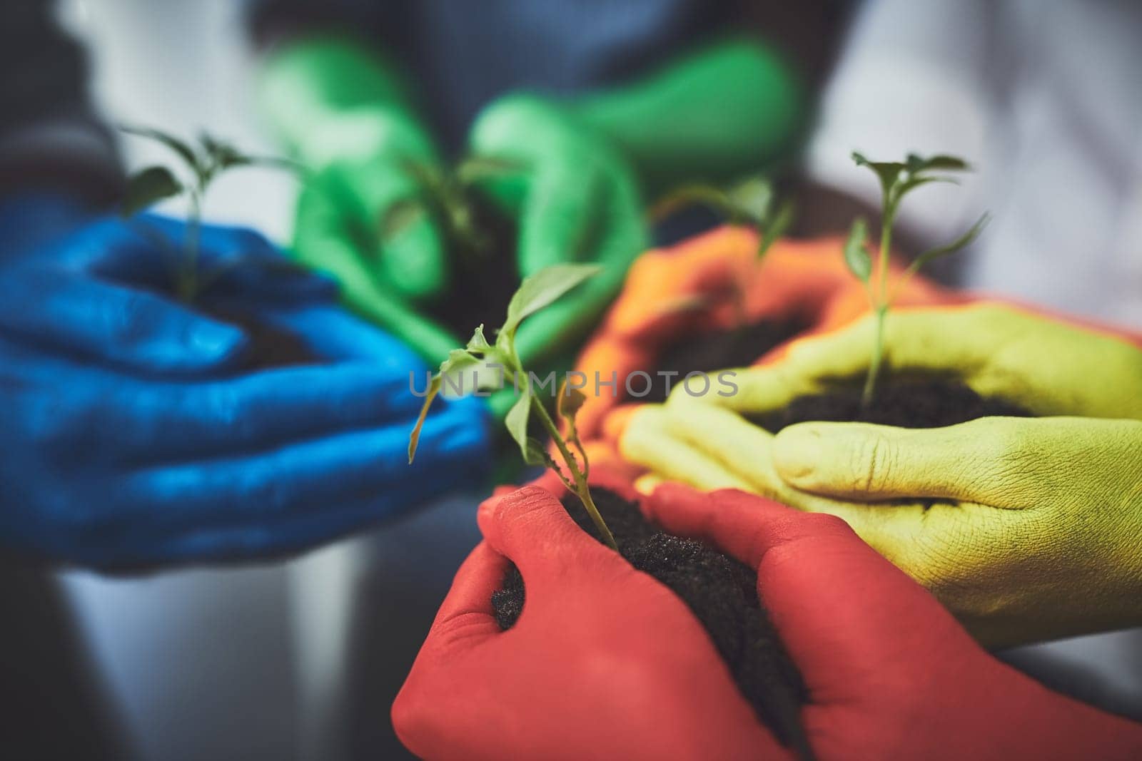 The world needs to work together. unrecognizable people holding budding plants in their multi colored hands. by YuriArcurs