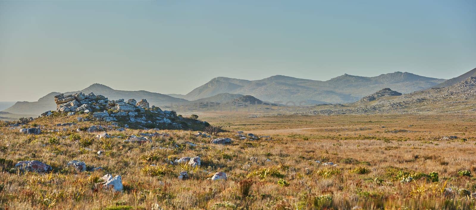 Mountains, grass and space with field in park for landscape, environment or flowers. Bush, summer and wilderness with reserve in Cape Town ecology for floral habitat, sustainability and nature mockup.