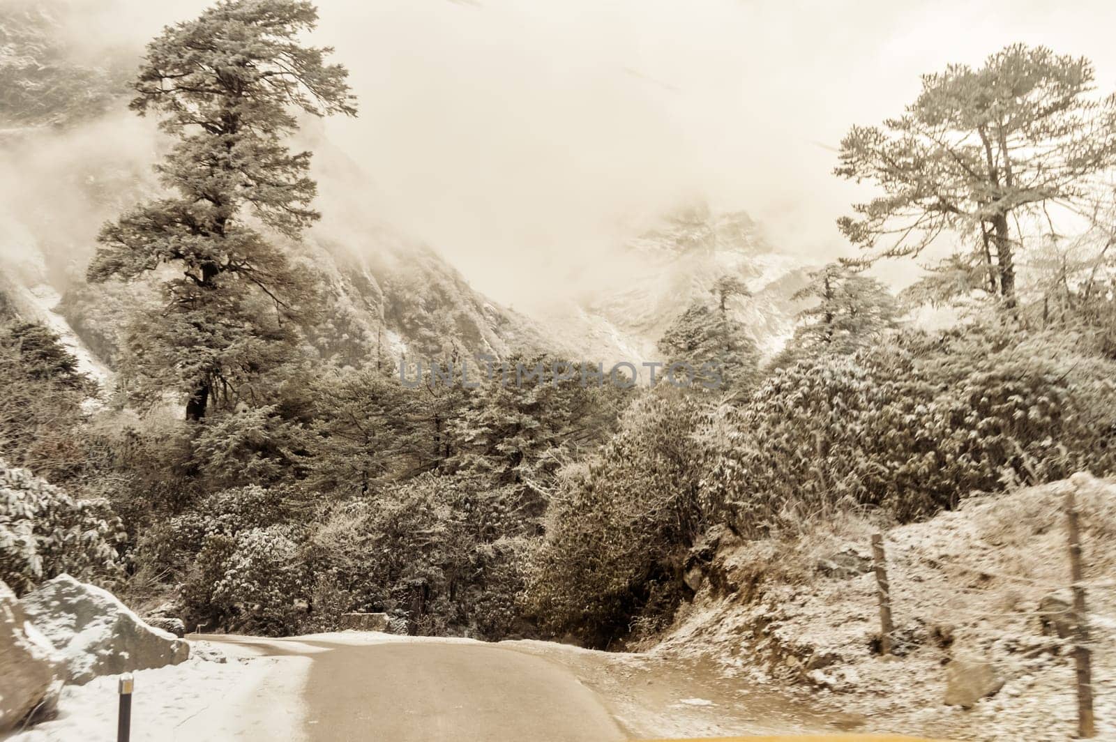 Light brown color winter landscape. Mountain Road forest covering snow. by sudiptabhowmick