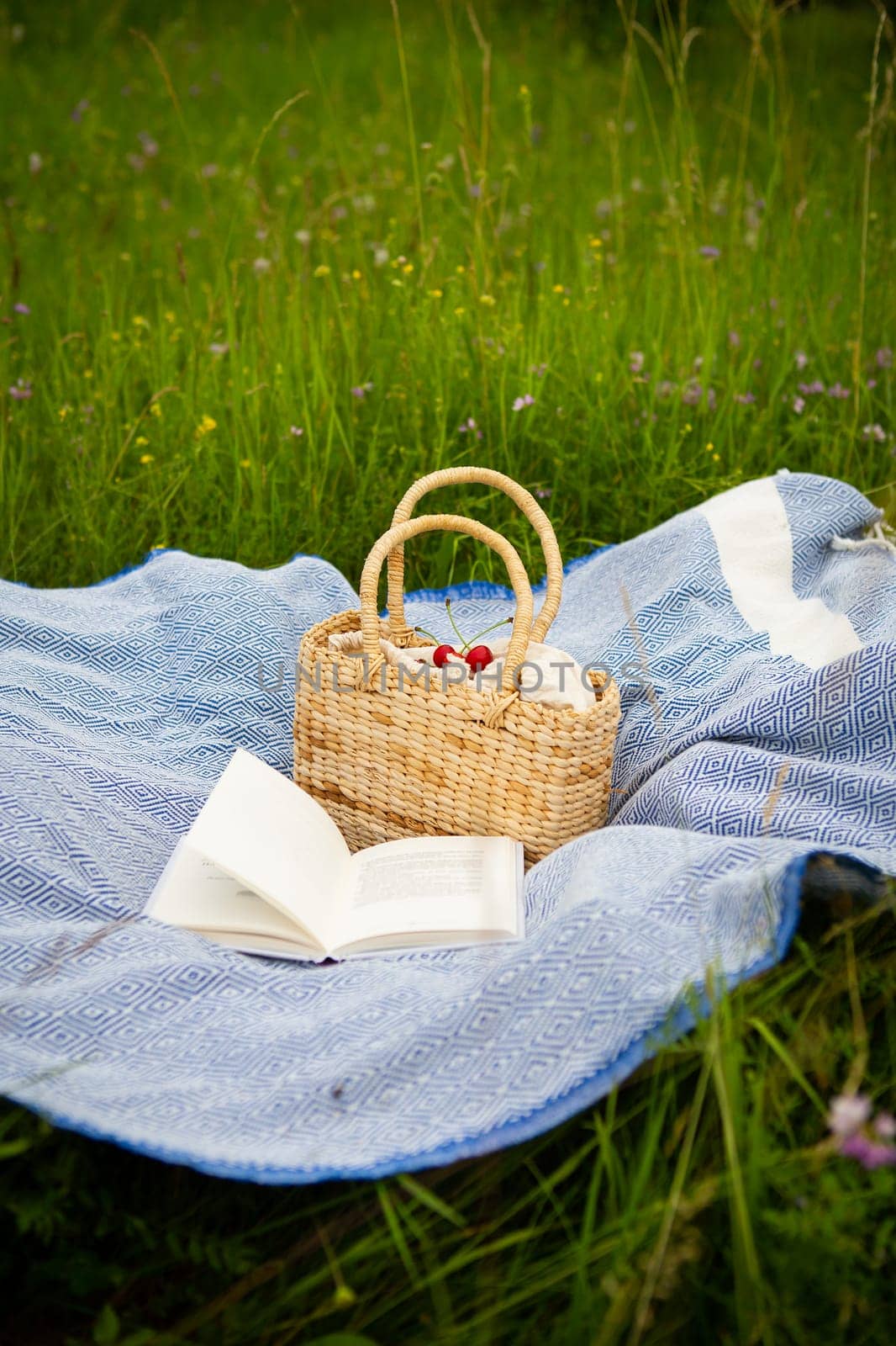 Very beautiful picnic in nature in the park. Straw bag, book, blue plaid. Outdoor recreation. Close-up