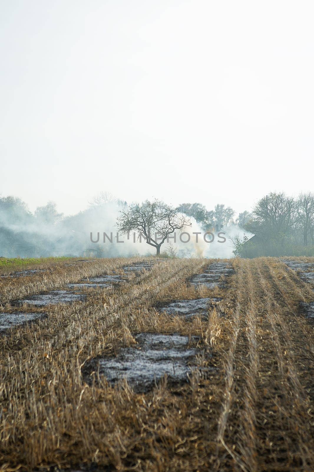 Autumn cleaning work, burning dry grass in the garden