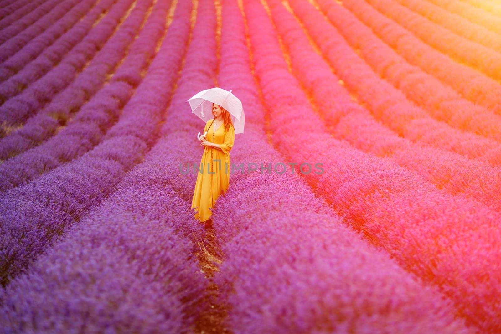 A middle-aged woman in a lavender field walks under an umbrella on a rainy day and enjoys aromatherapy. Aromatherapy concept, lavender oil, photo session in lavender by Matiunina