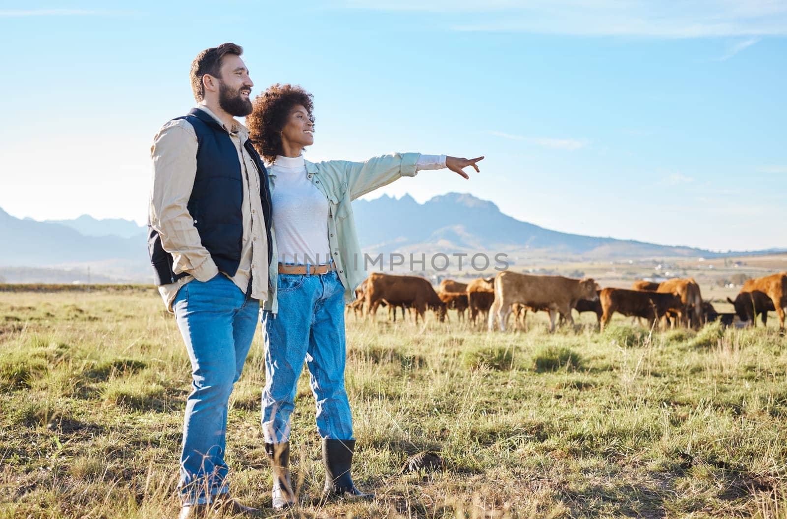 Nature, cows and couple standing on farm for sustainable, agriculture or organic livestock maintenance. Agro, farming and eco friendly interracial man and woman by field with cattle in countryside. by YuriArcurs