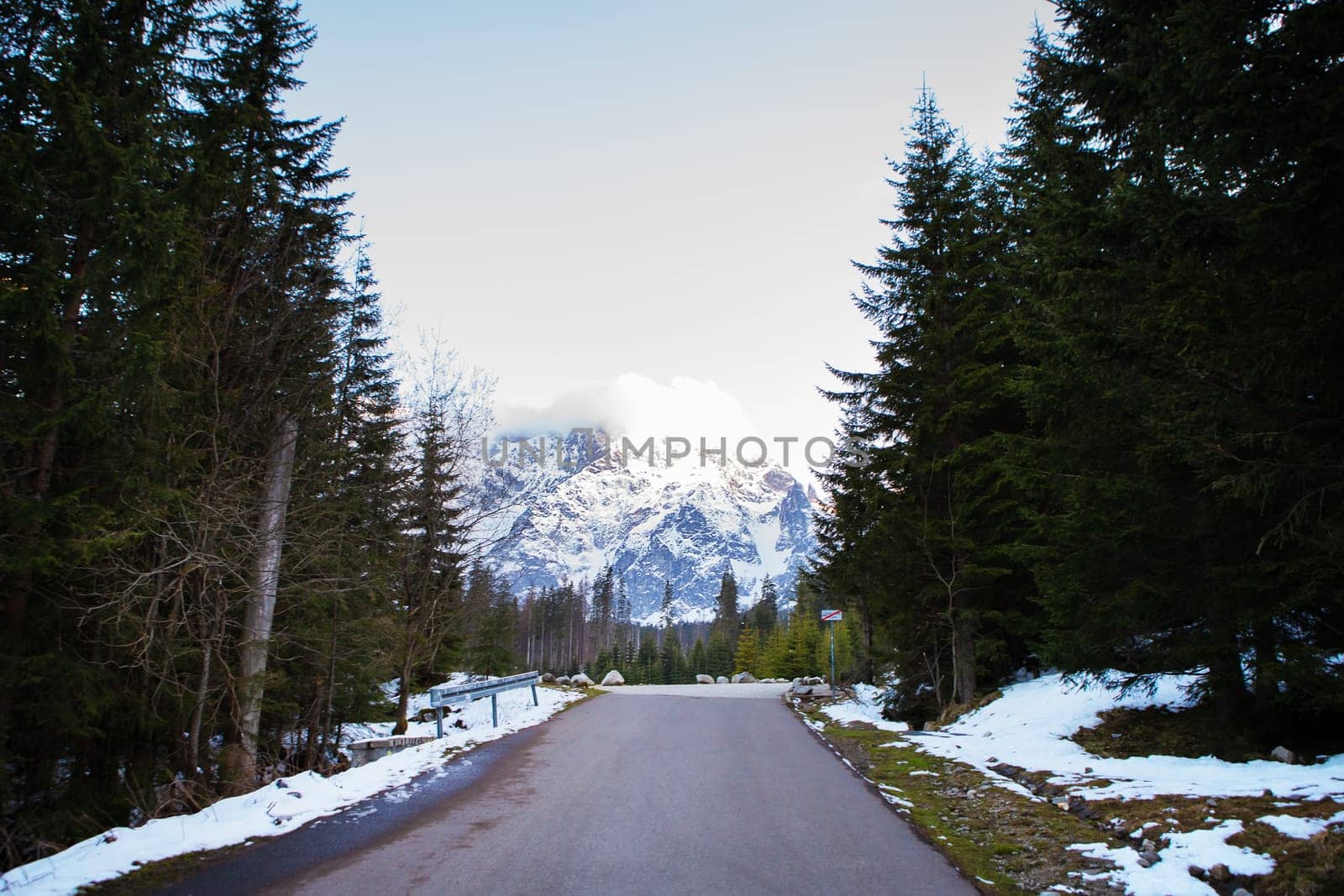 A beautiful road among a dense forest. View of the mountains, mountains in the snow and fog