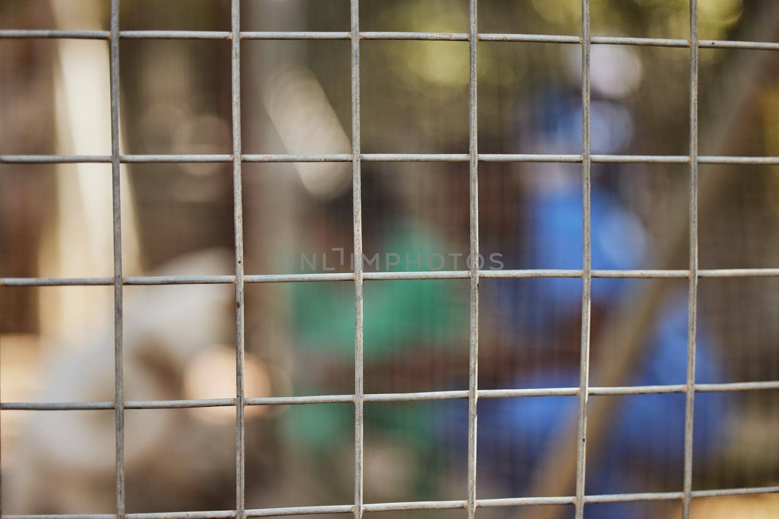 Steel fence, blurred background and animal shelter volunteers keep animals safe, secure and fed for adoption play outdoors in nature. Pet care, veterinary clinic and workers behind chain link fence by YuriArcurs